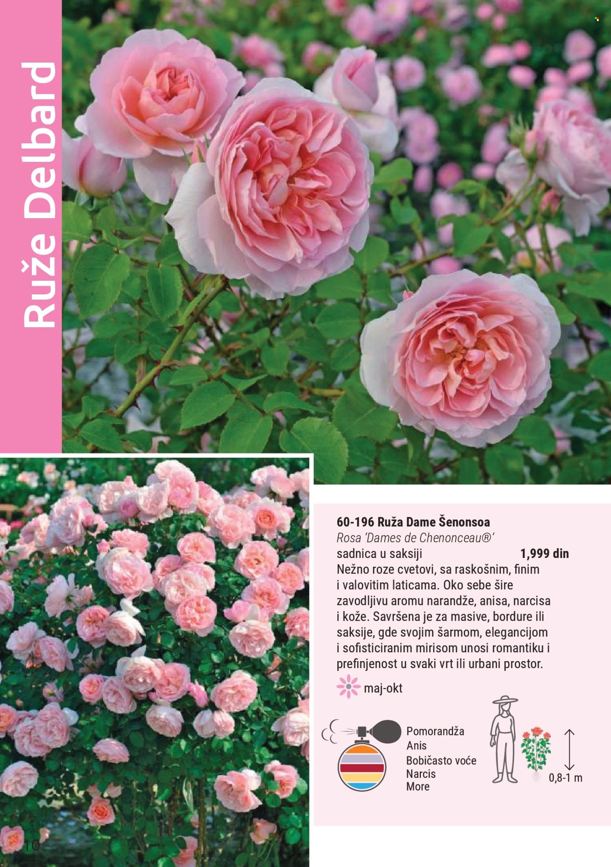 Flora Ekspres katalog. Stranica 10