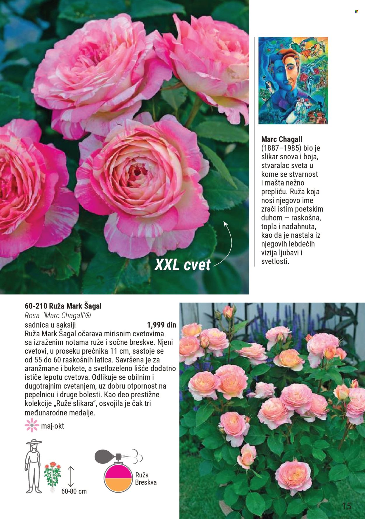 Flora Ekspres katalog. Stranica 15