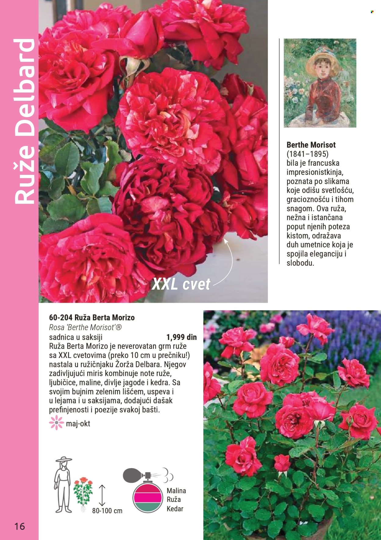 Flora Ekspres katalog. Stranica 16