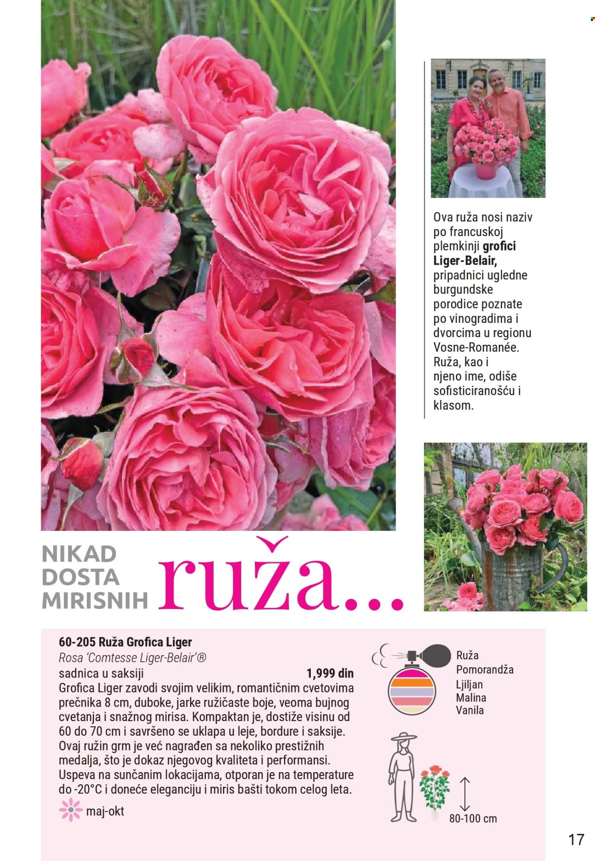 Flora Ekspres katalog. Stranica 17
