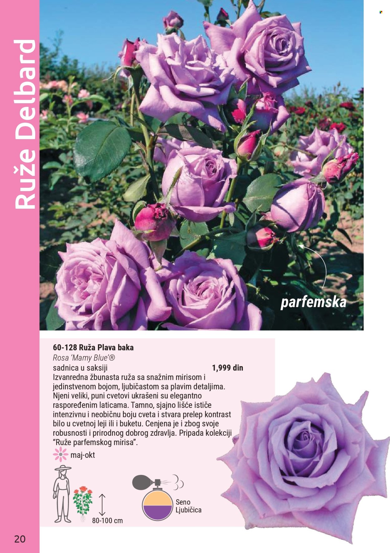 Flora Ekspres katalog. Stranica 20