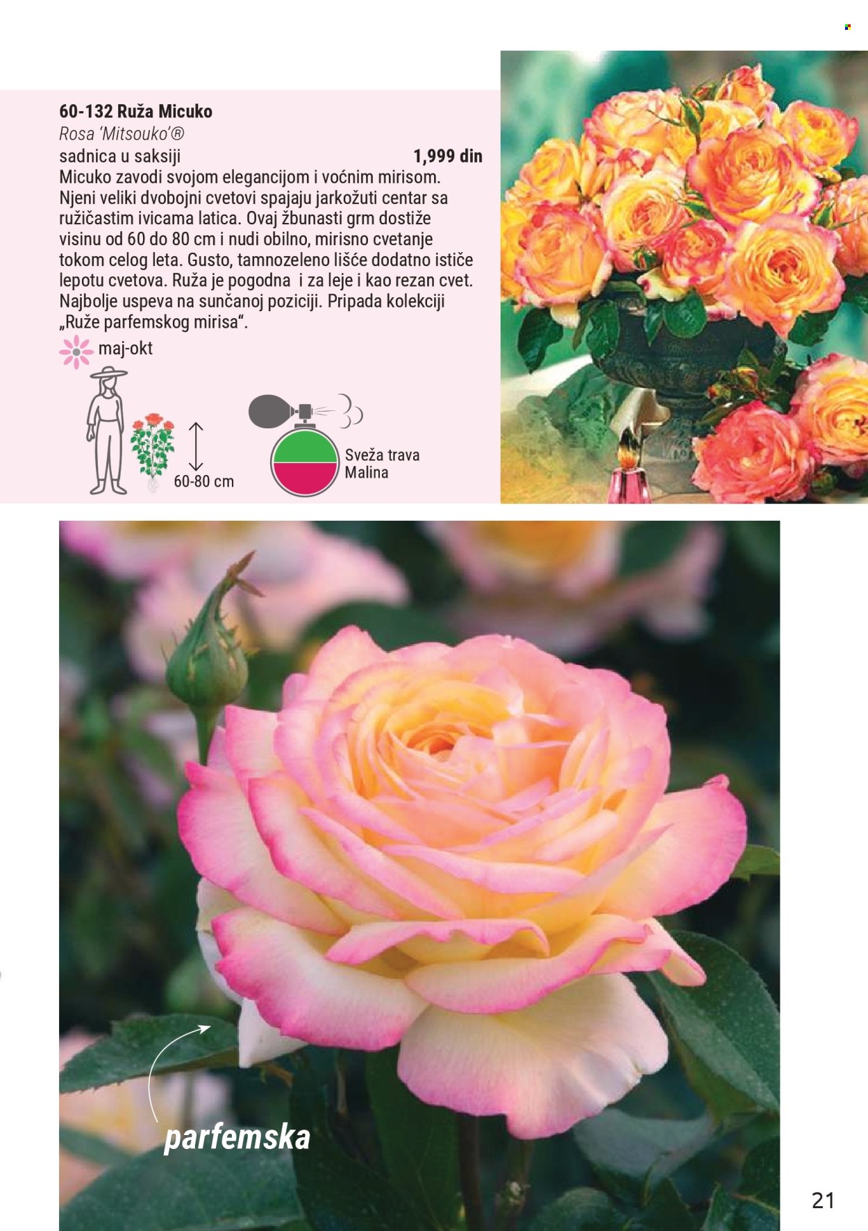 Flora Ekspres katalog. Stranica 21