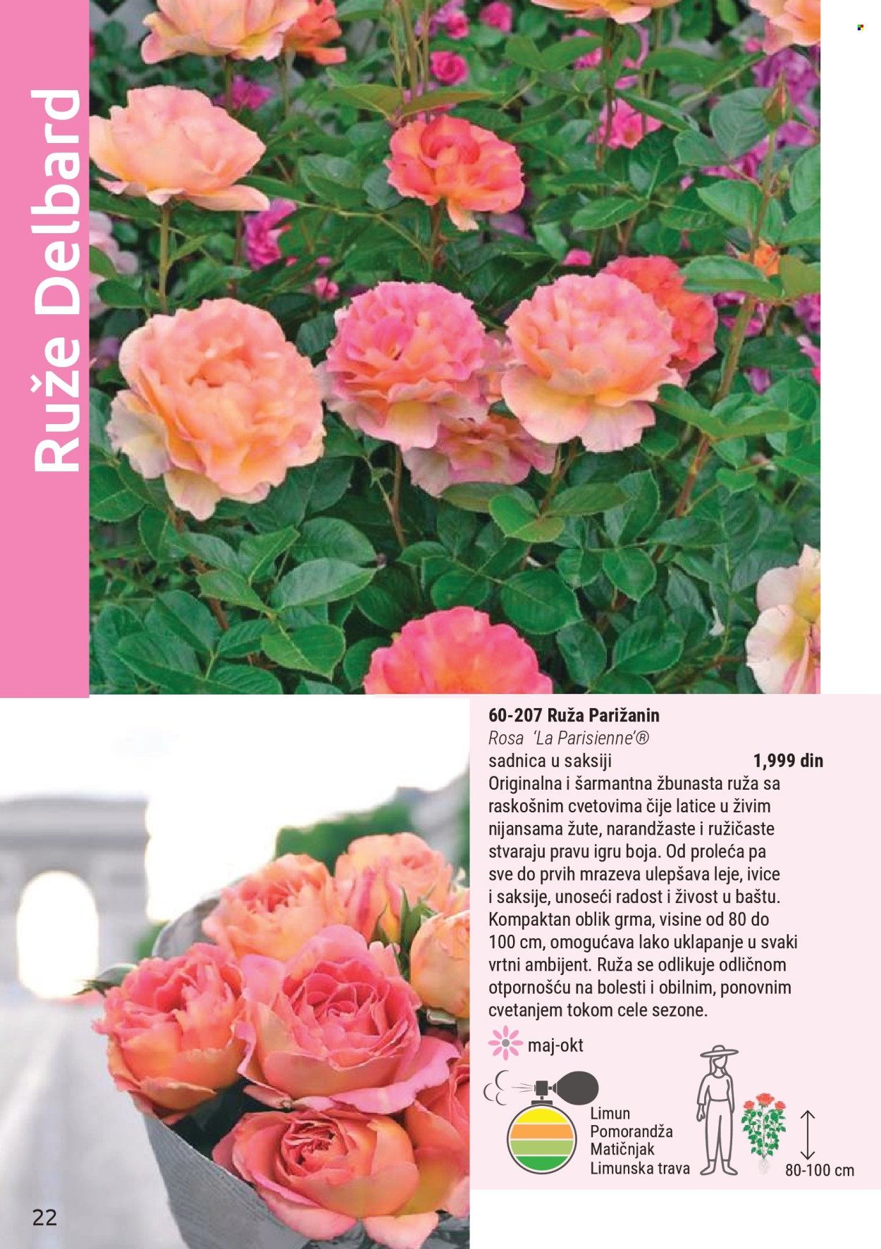 Flora Ekspres katalog. Stranica 22