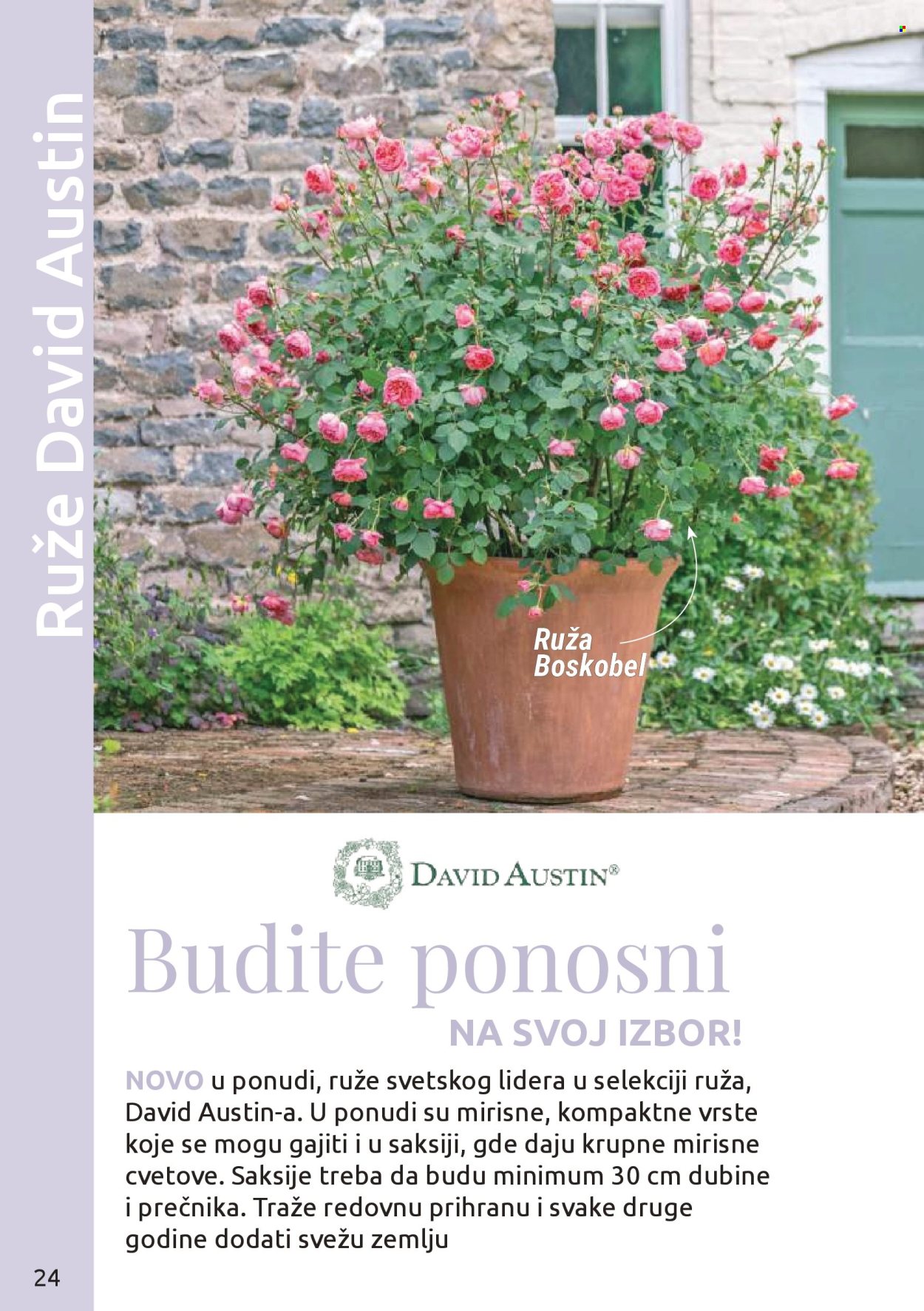 Flora Ekspres katalog. Stranica 24