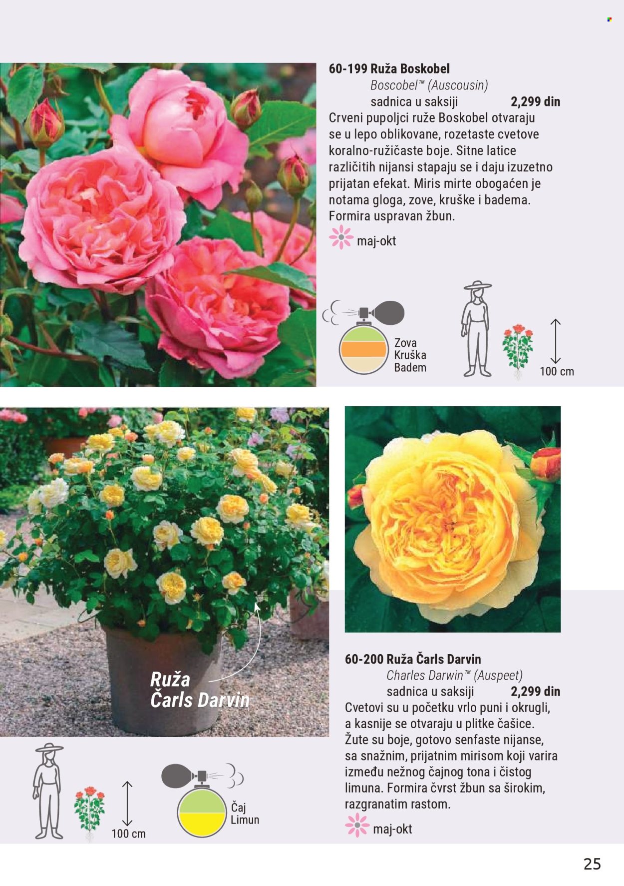 Flora Ekspres katalog. Stranica 25