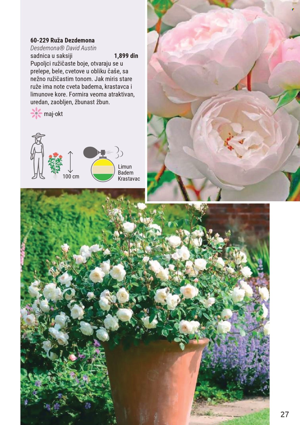 Flora Ekspres katalog. Stranica 27