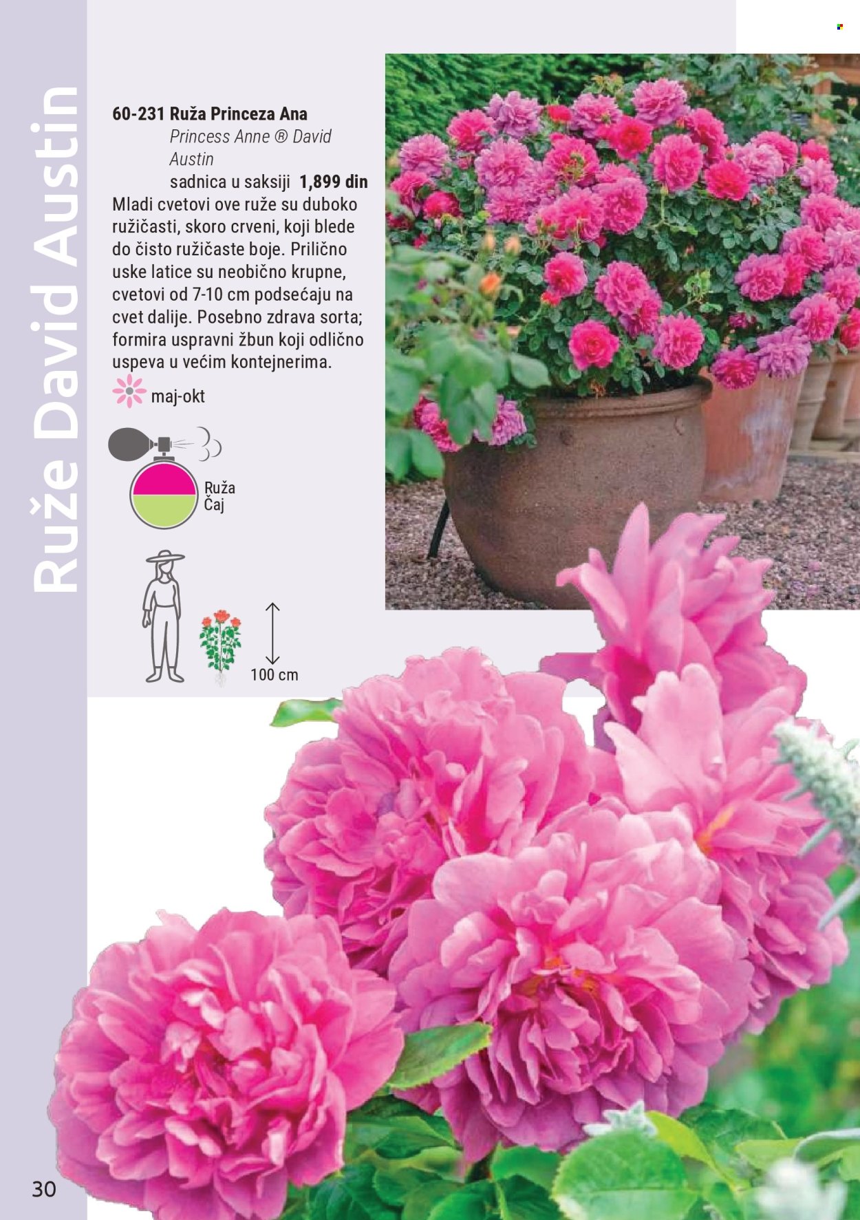 Flora Ekspres katalog. Stranica 30