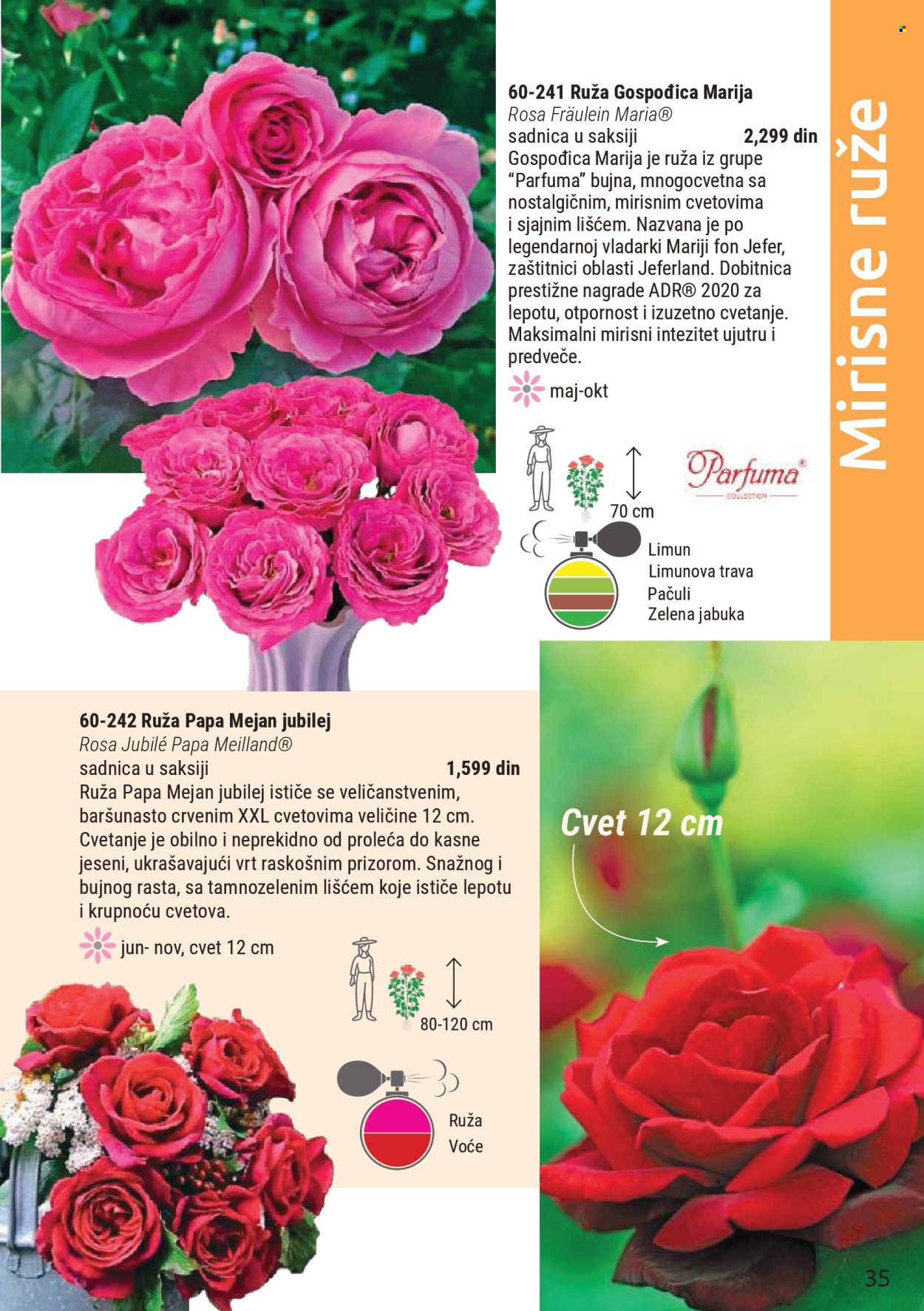 Flora Ekspres katalog. Stranica 35