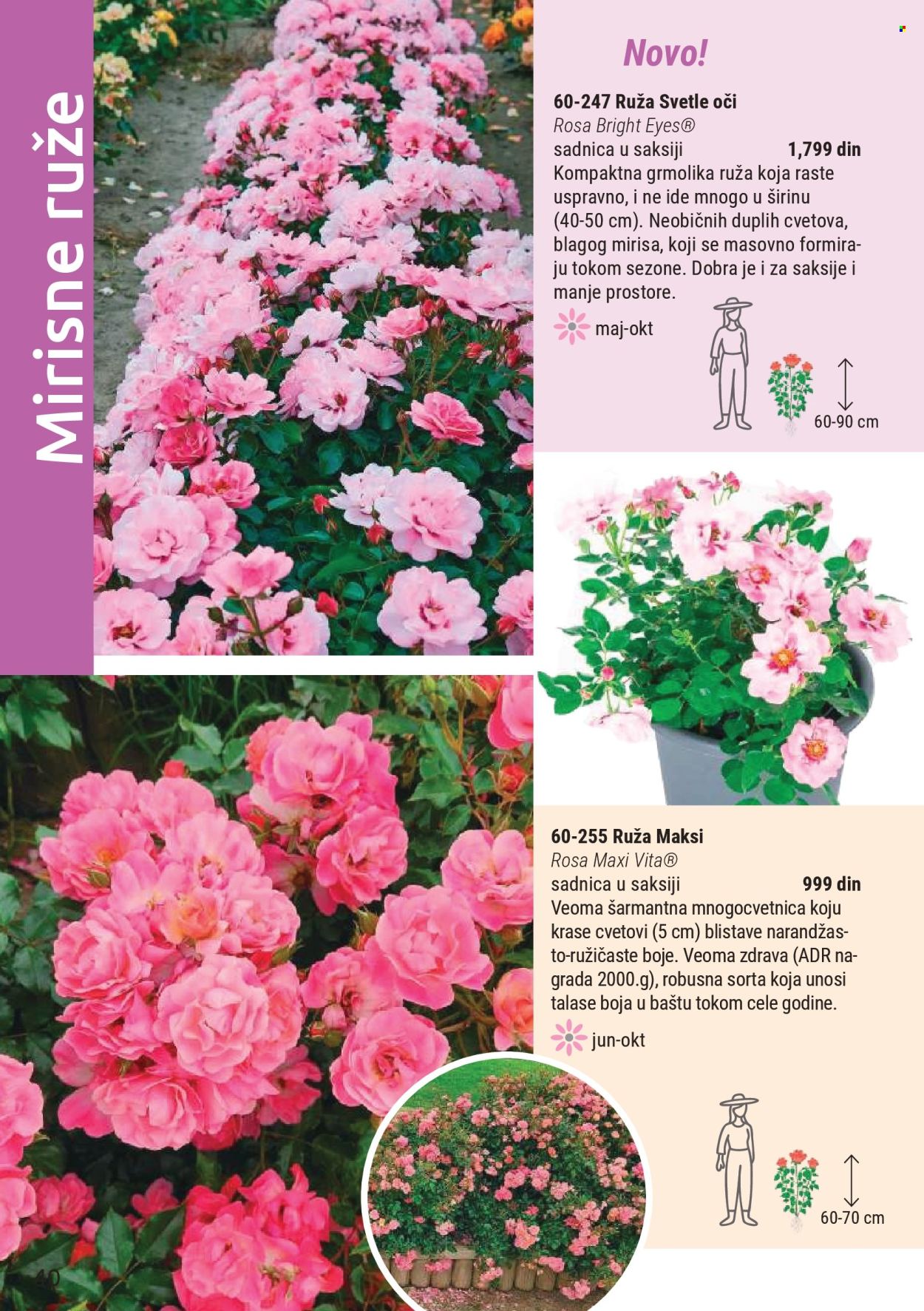 Flora Ekspres katalog. Stranica 40