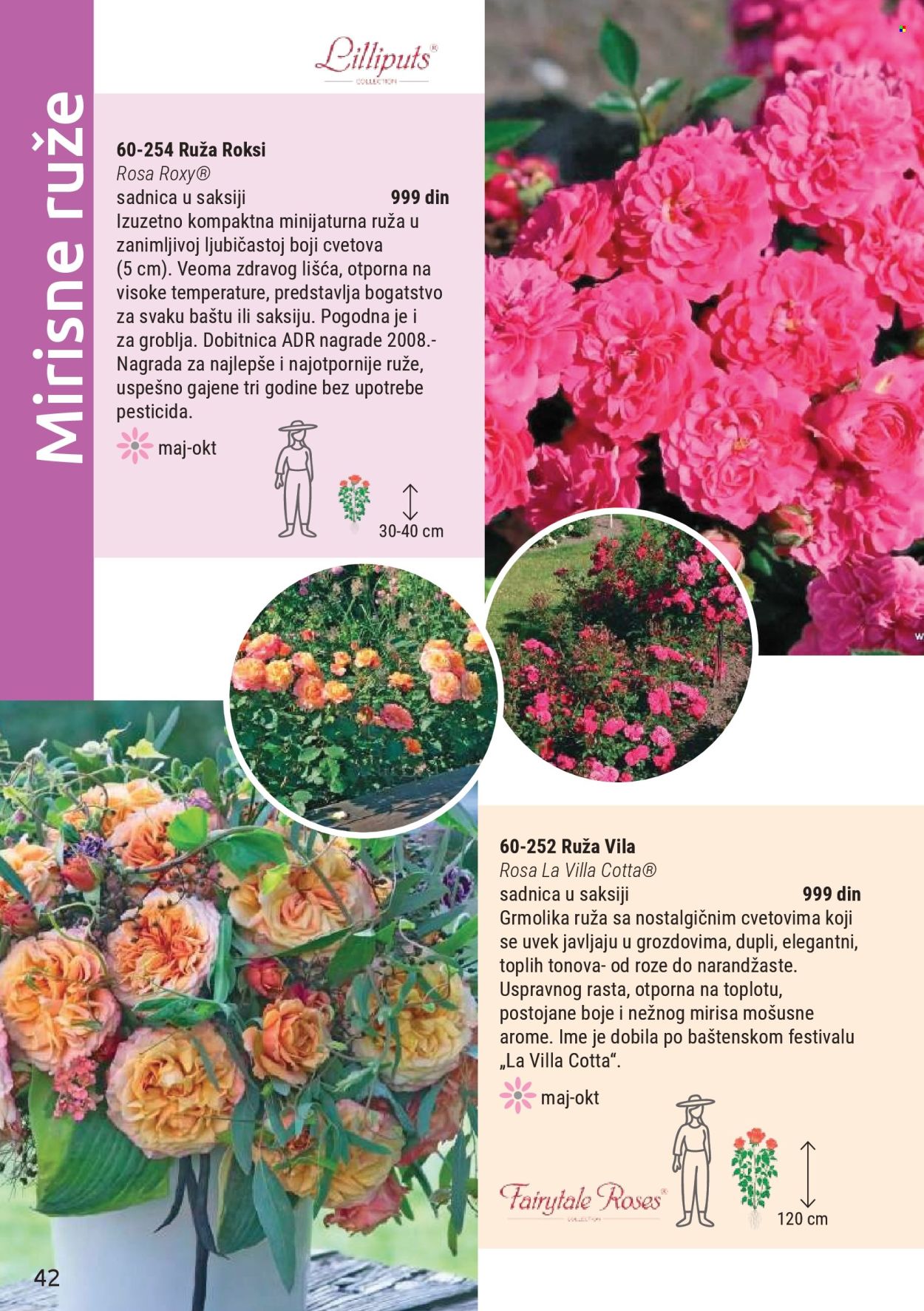 Flora Ekspres katalog. Stranica 42