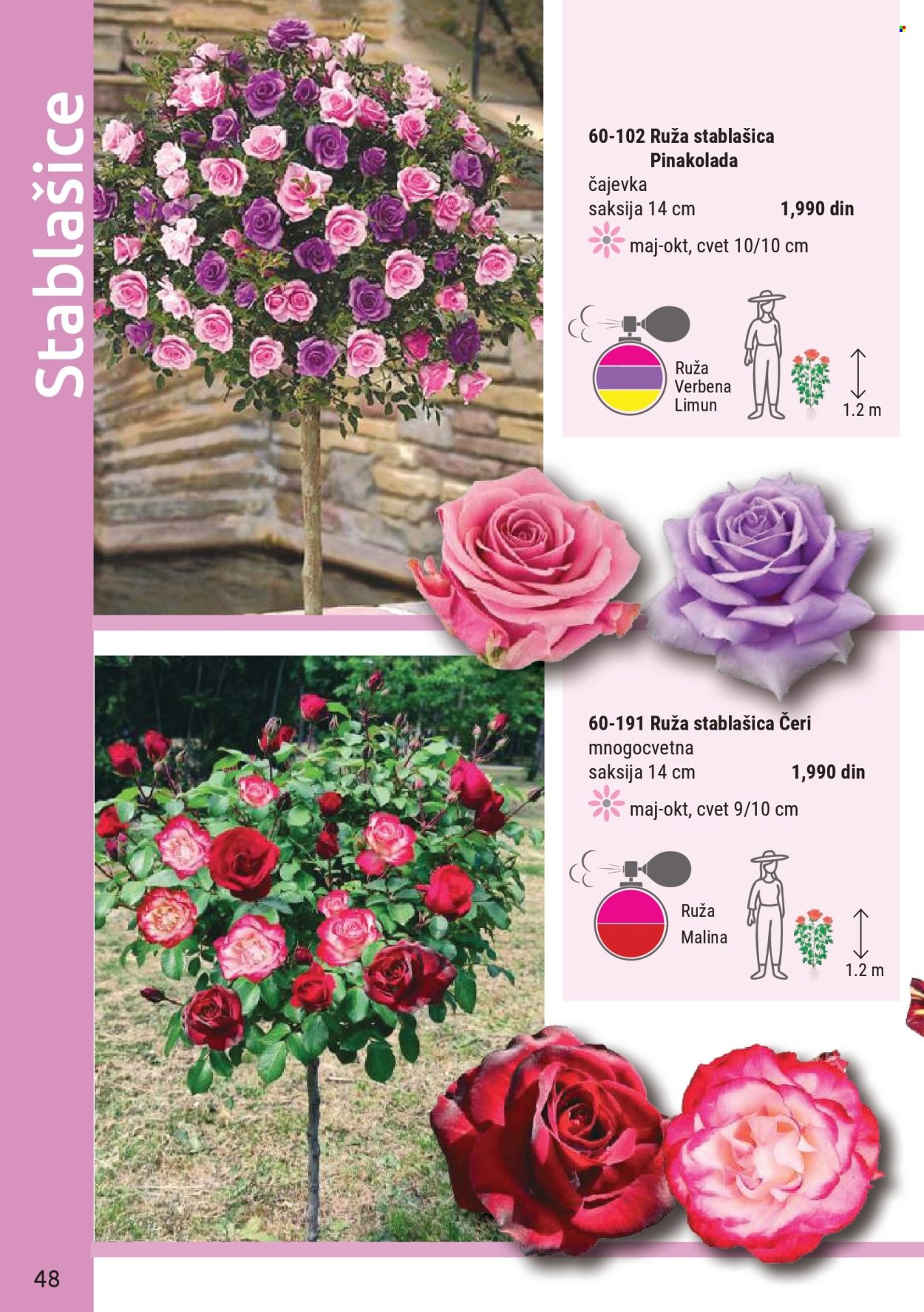 Flora Ekspres katalog. Stranica 48