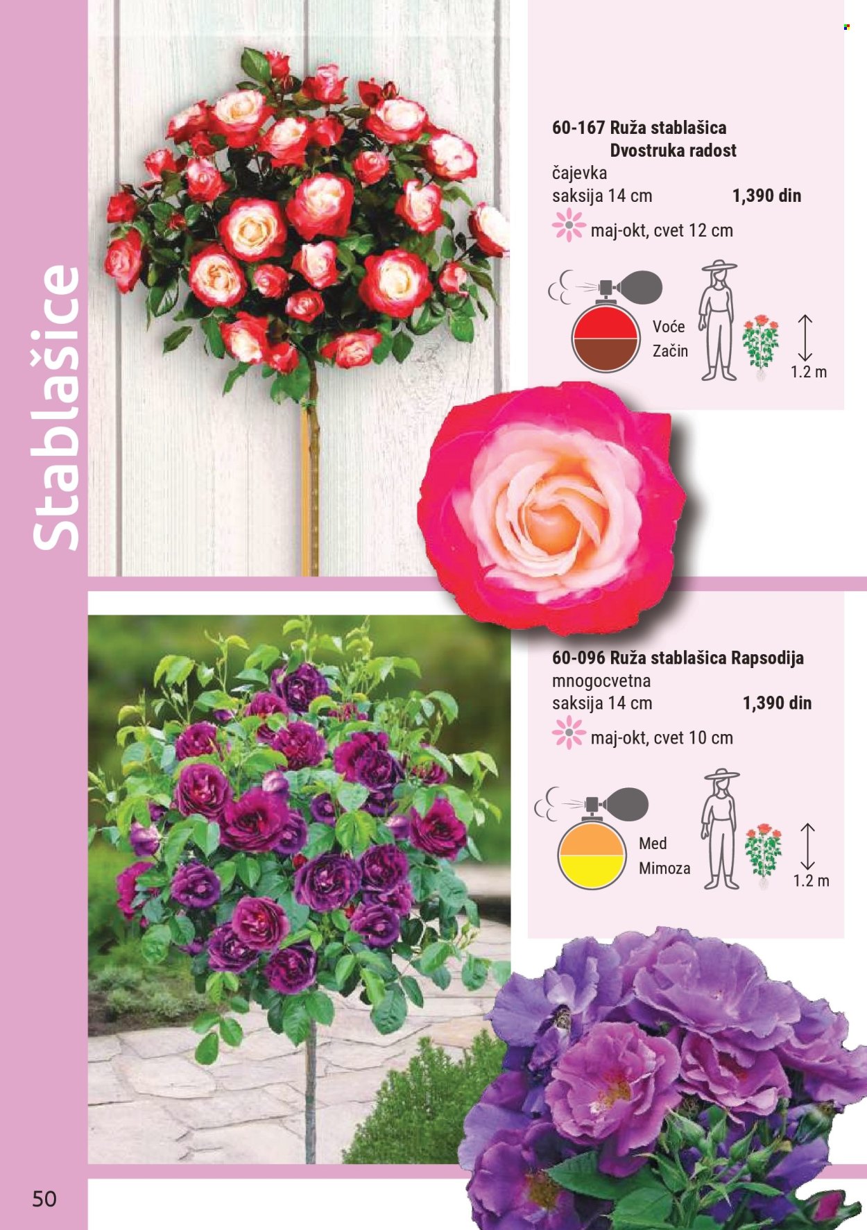Flora Ekspres katalog. Stranica 50