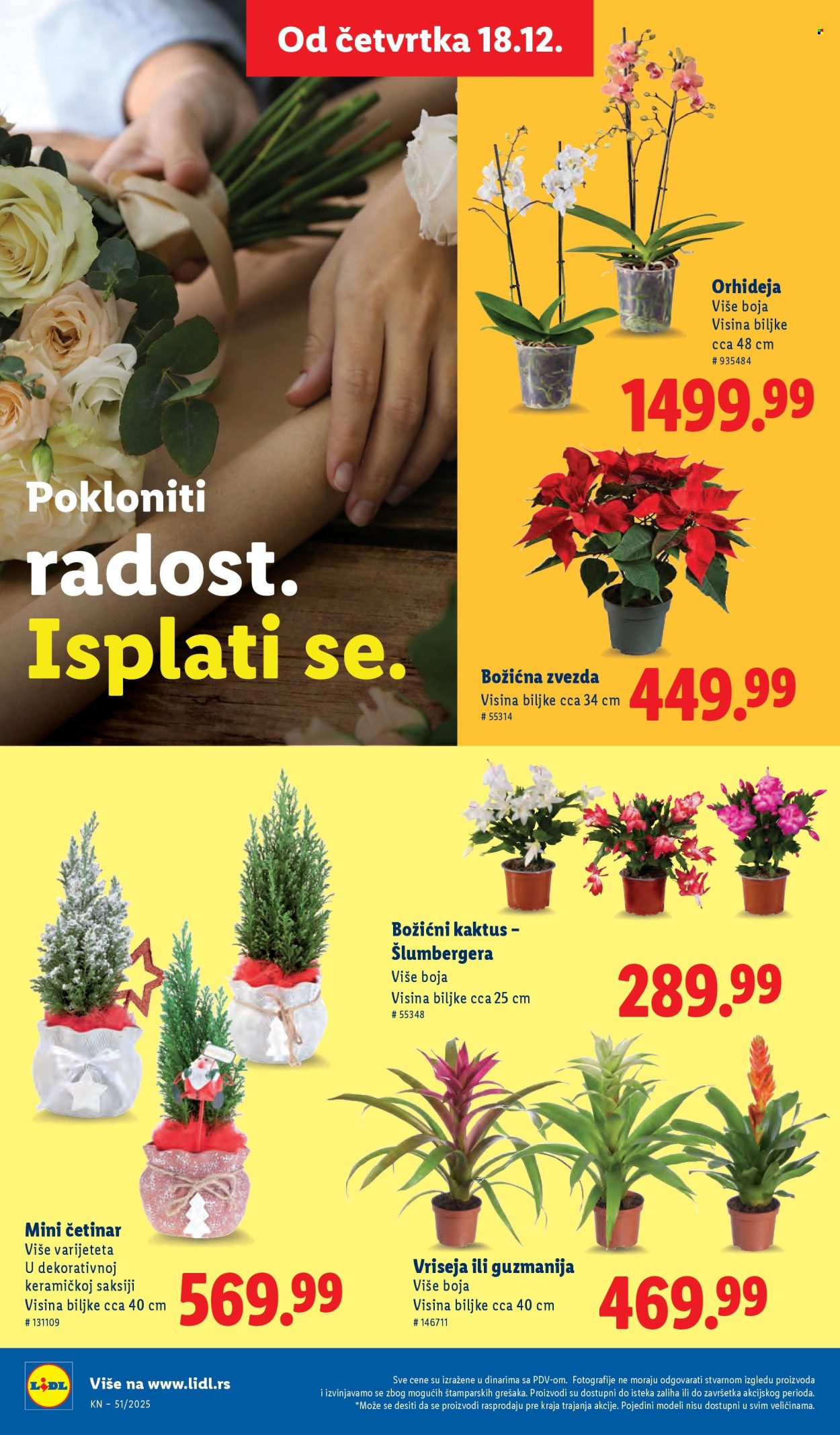 Lidl katalog - 18.12.2025 - 24.12.2025. Stranica 54