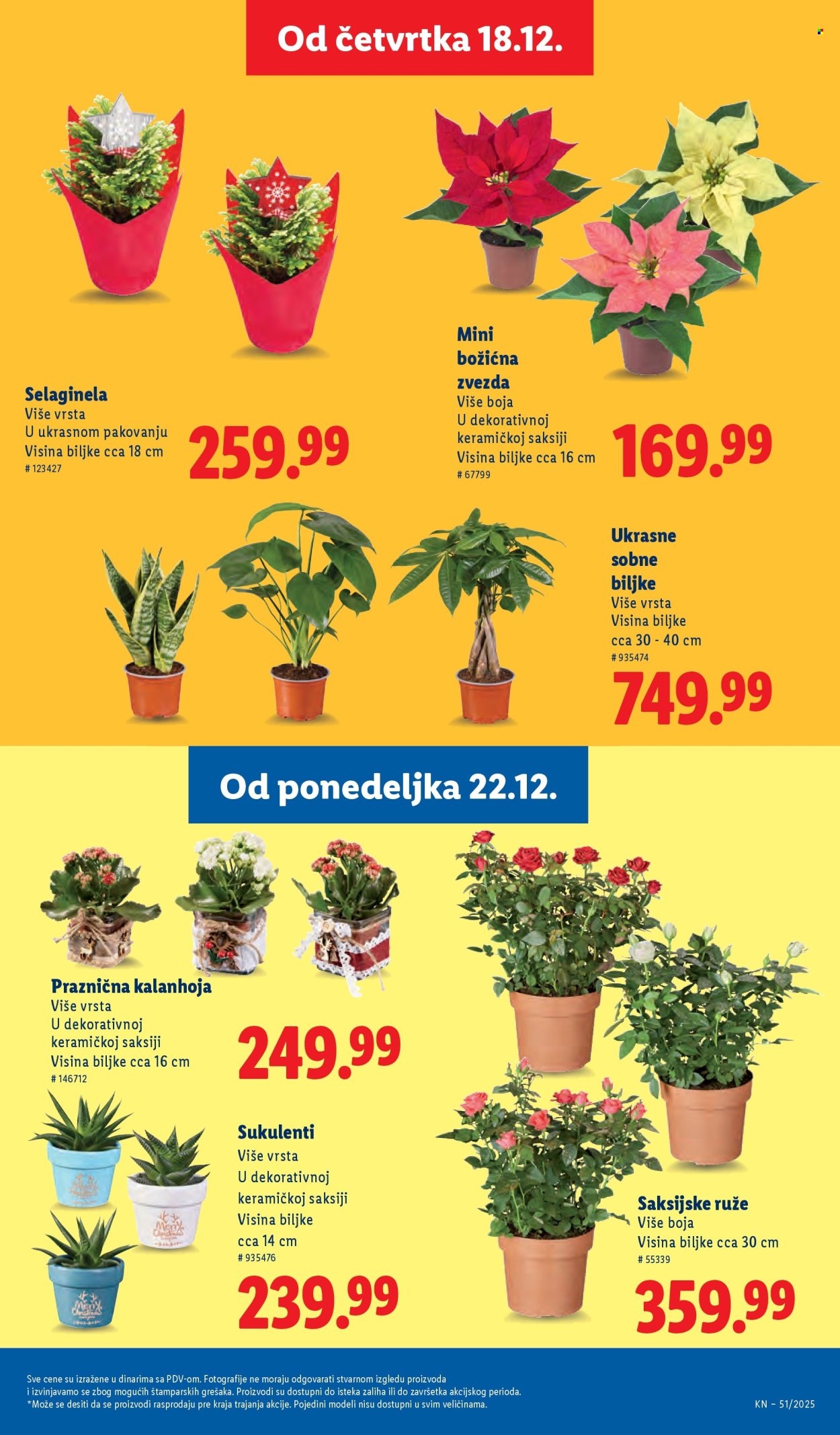 Lidl katalog - 18.12.2025 - 24.12.2025. Stranica 55