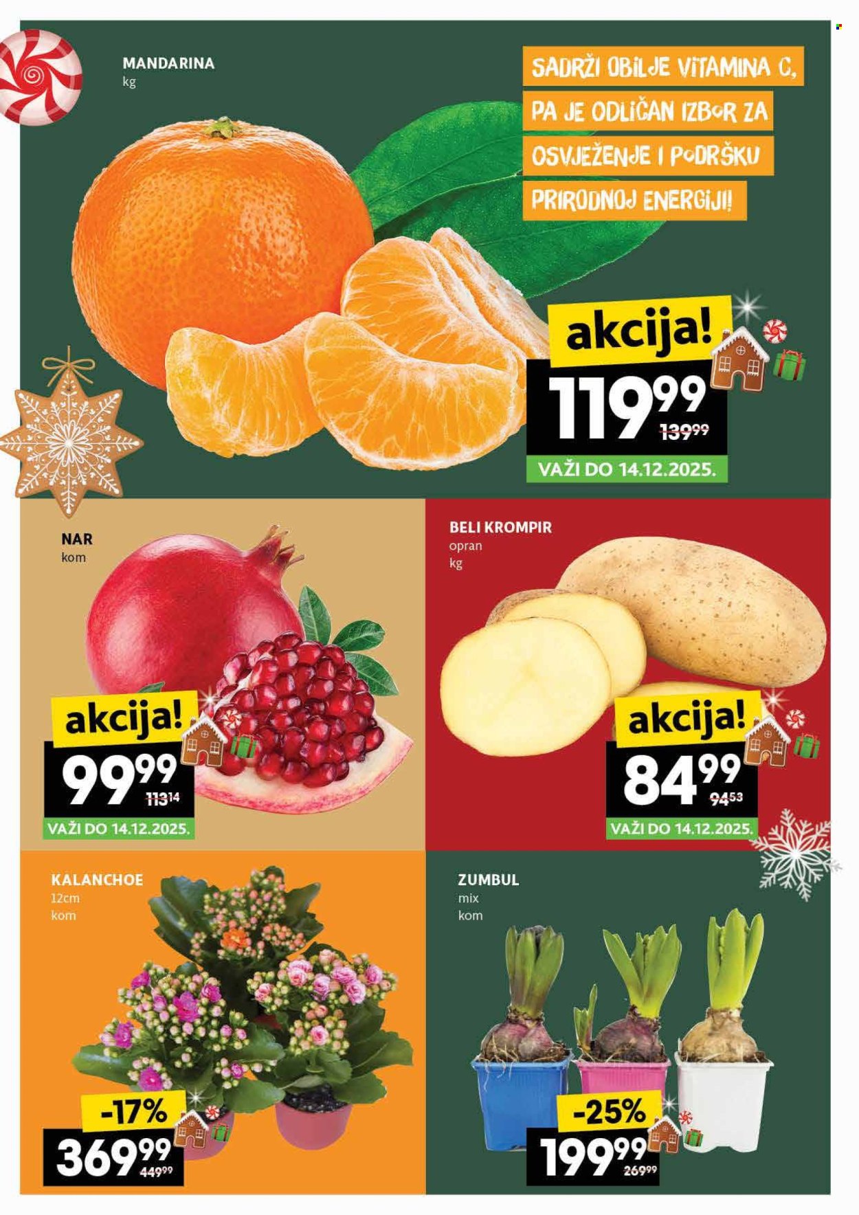 Mercator Centar katalog - 11.12.2025 - 17.12.2025. Stranica 2