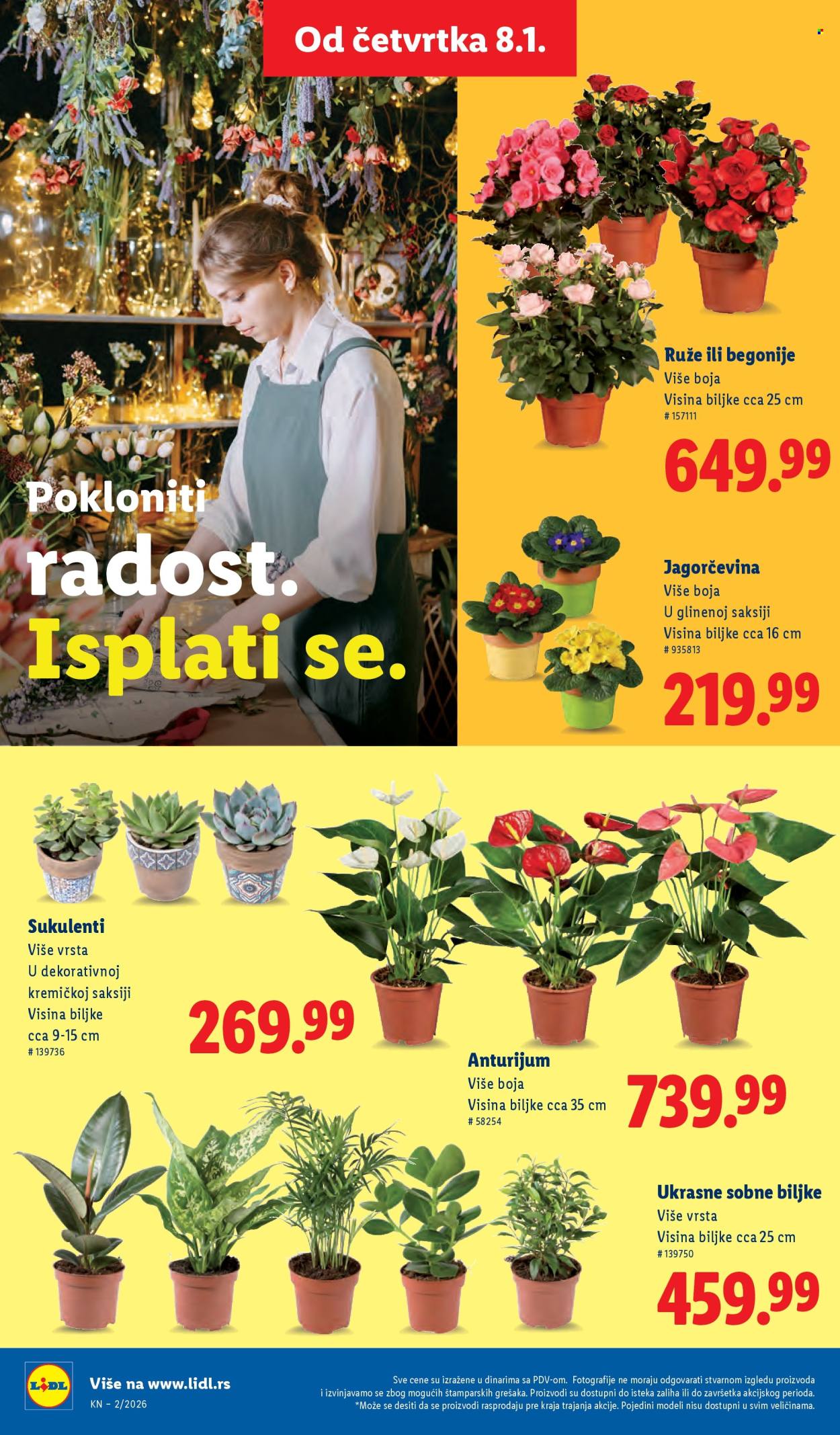 Lidl katalog - 08.01.2026 - 14.01.2026. Stranica 50