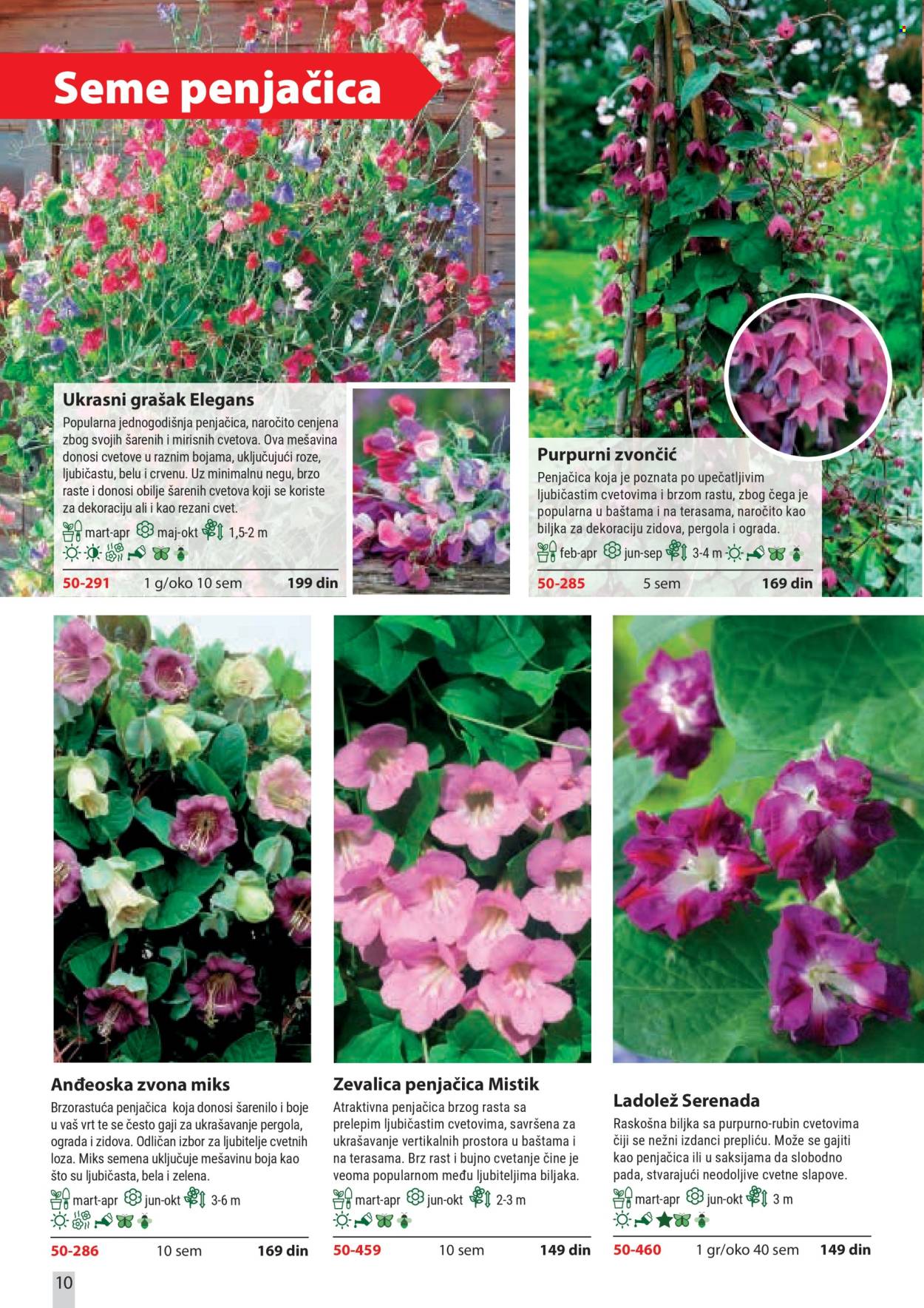 Flora Ekspres katalog. Stranica 10
