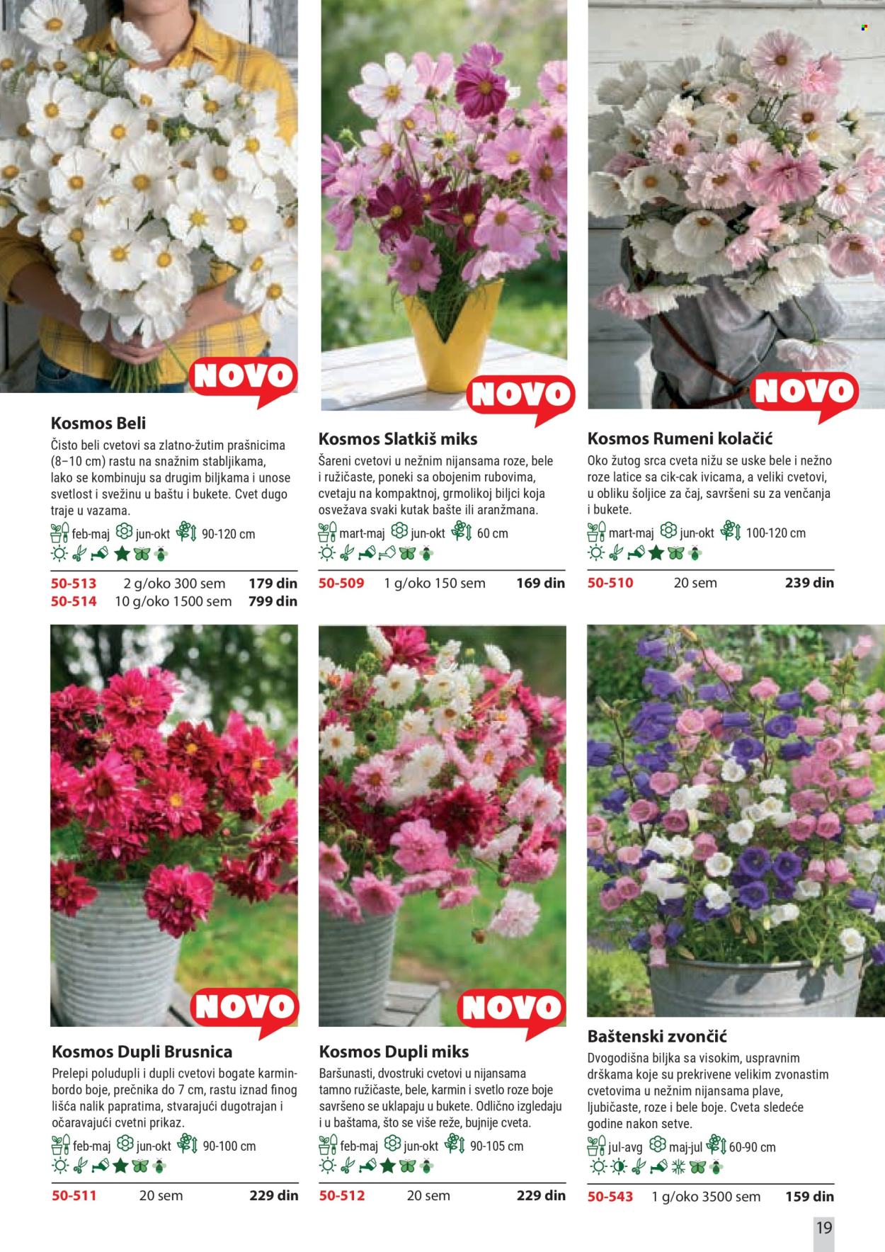 Flora Ekspres katalog. Stranica 19