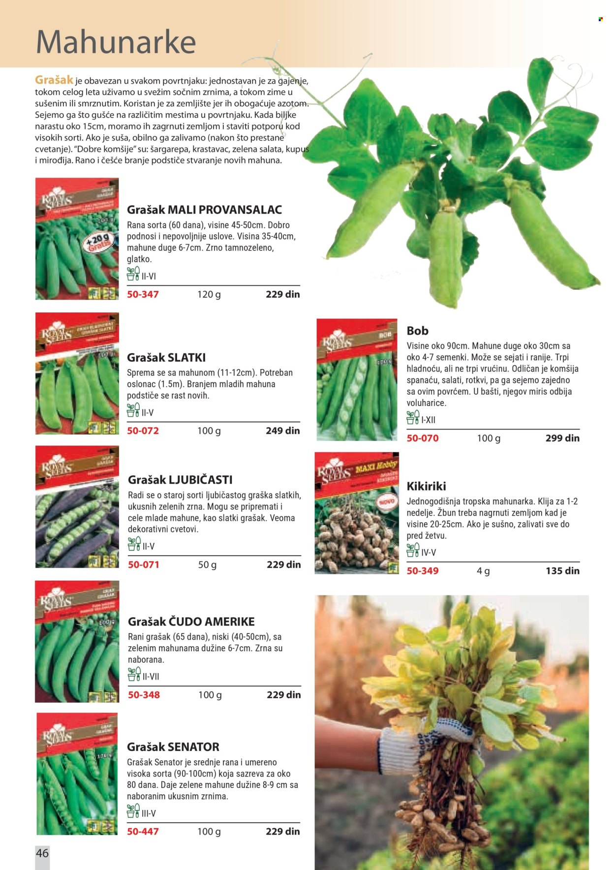 Flora Ekspres katalog. Stranica 46