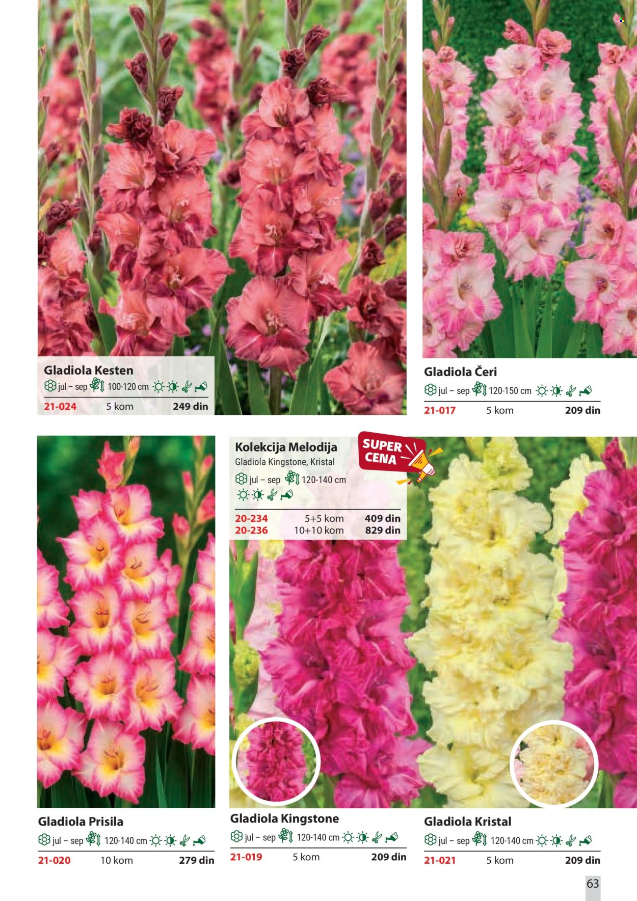 Flora Ekspres katalog. Stranica 63