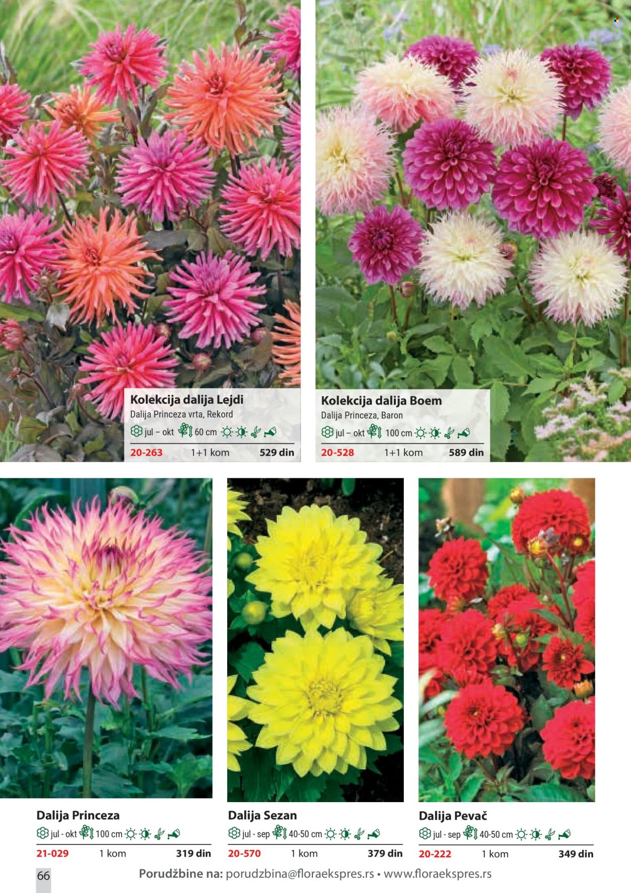 Flora Ekspres katalog. Stranica 66