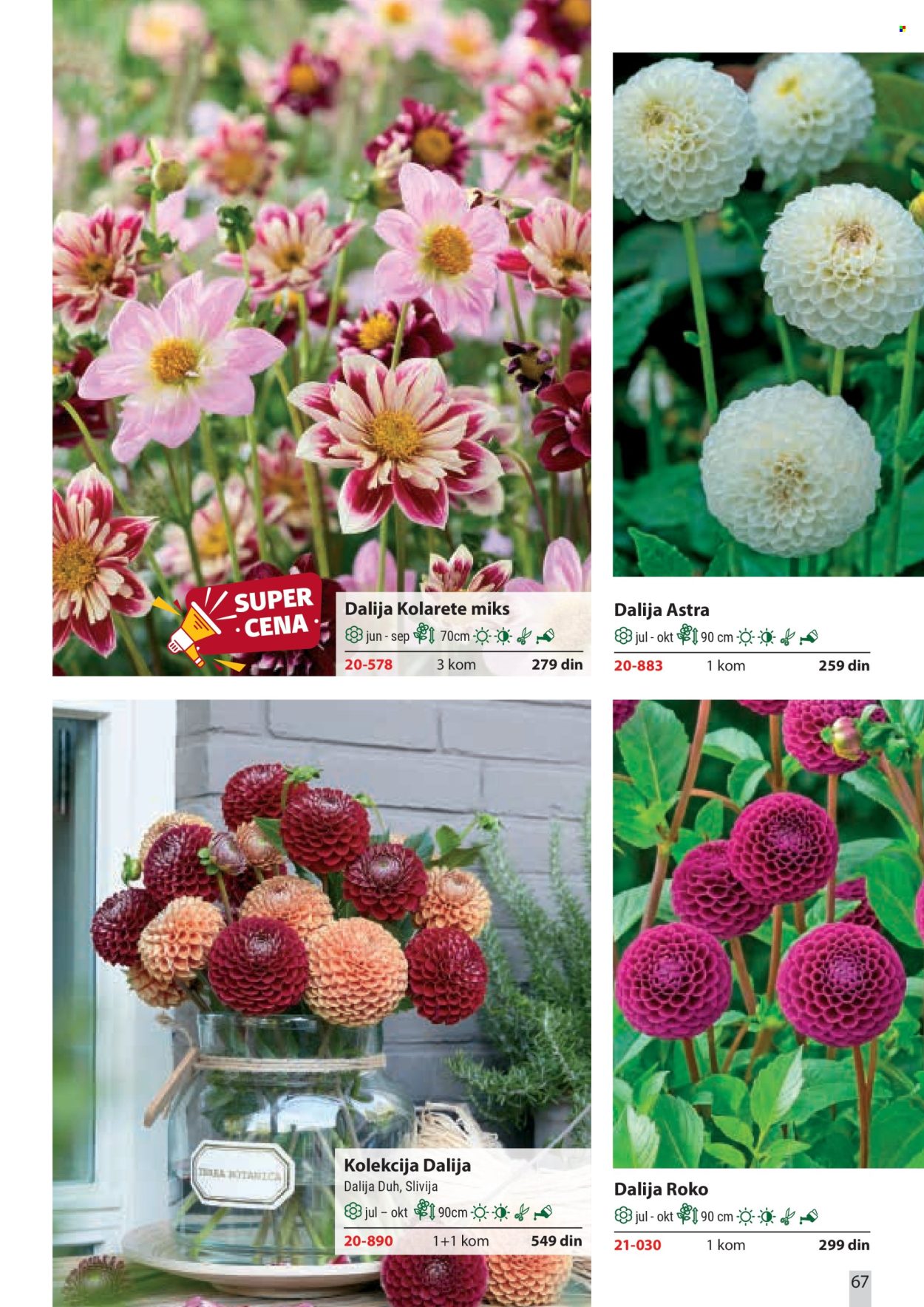 Flora Ekspres katalog. Stranica 67