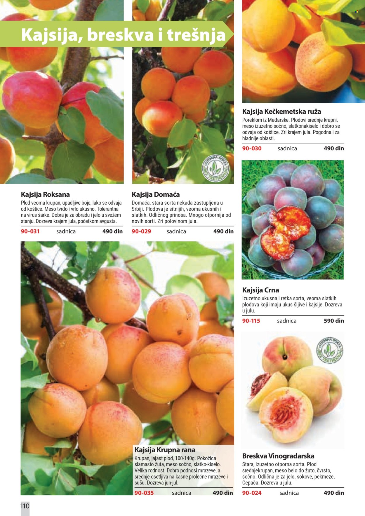 Flora Ekspres katalog. Stranica 110