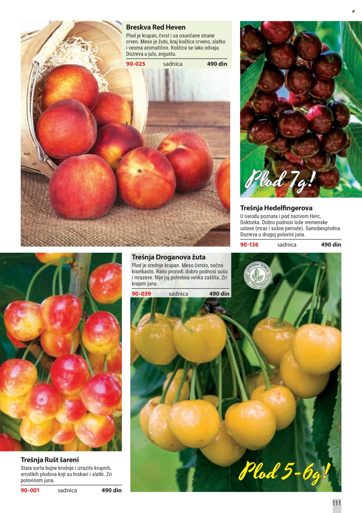 Flora Ekspres katalog. Stranica 111