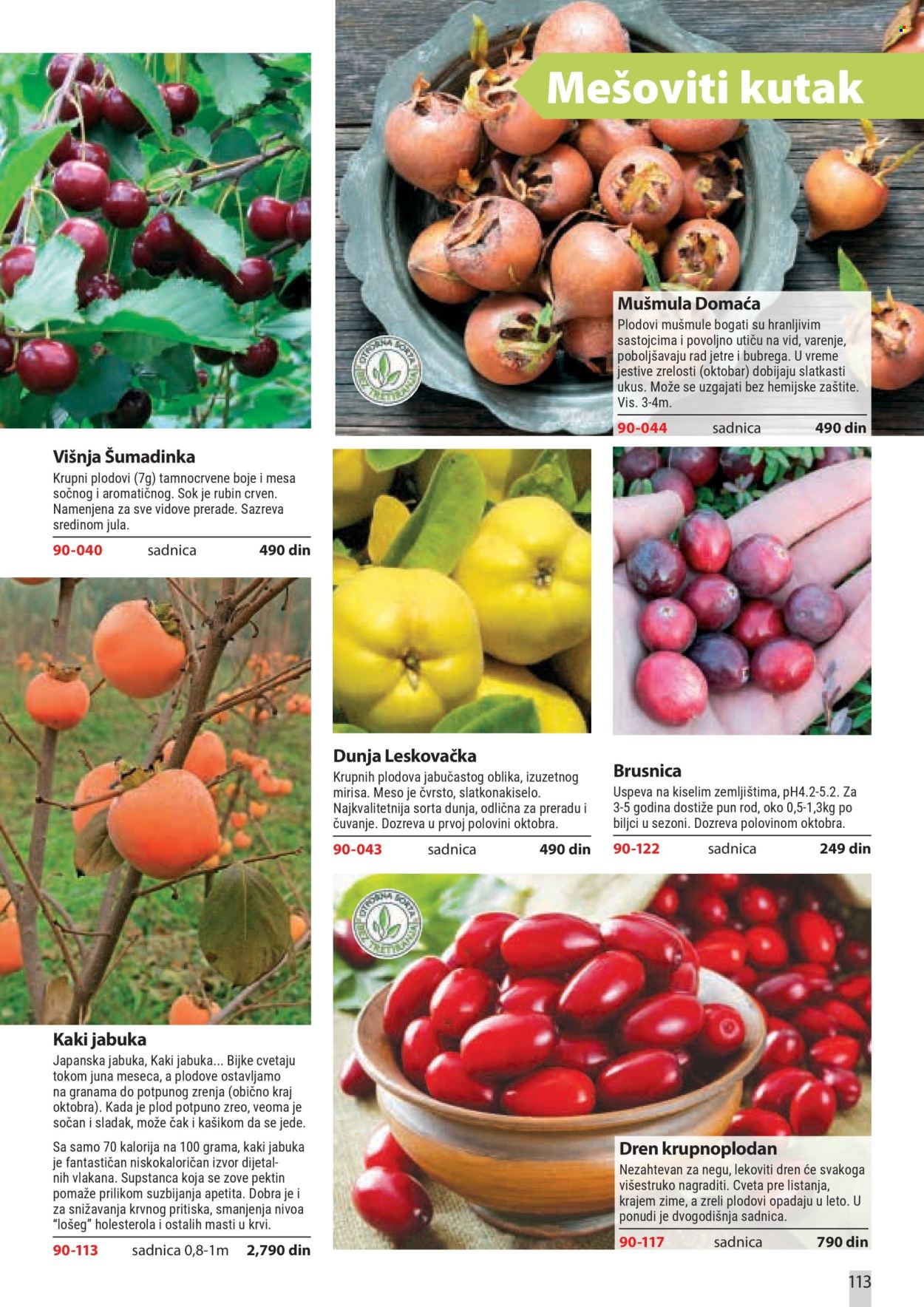 Flora Ekspres katalog. Stranica 113