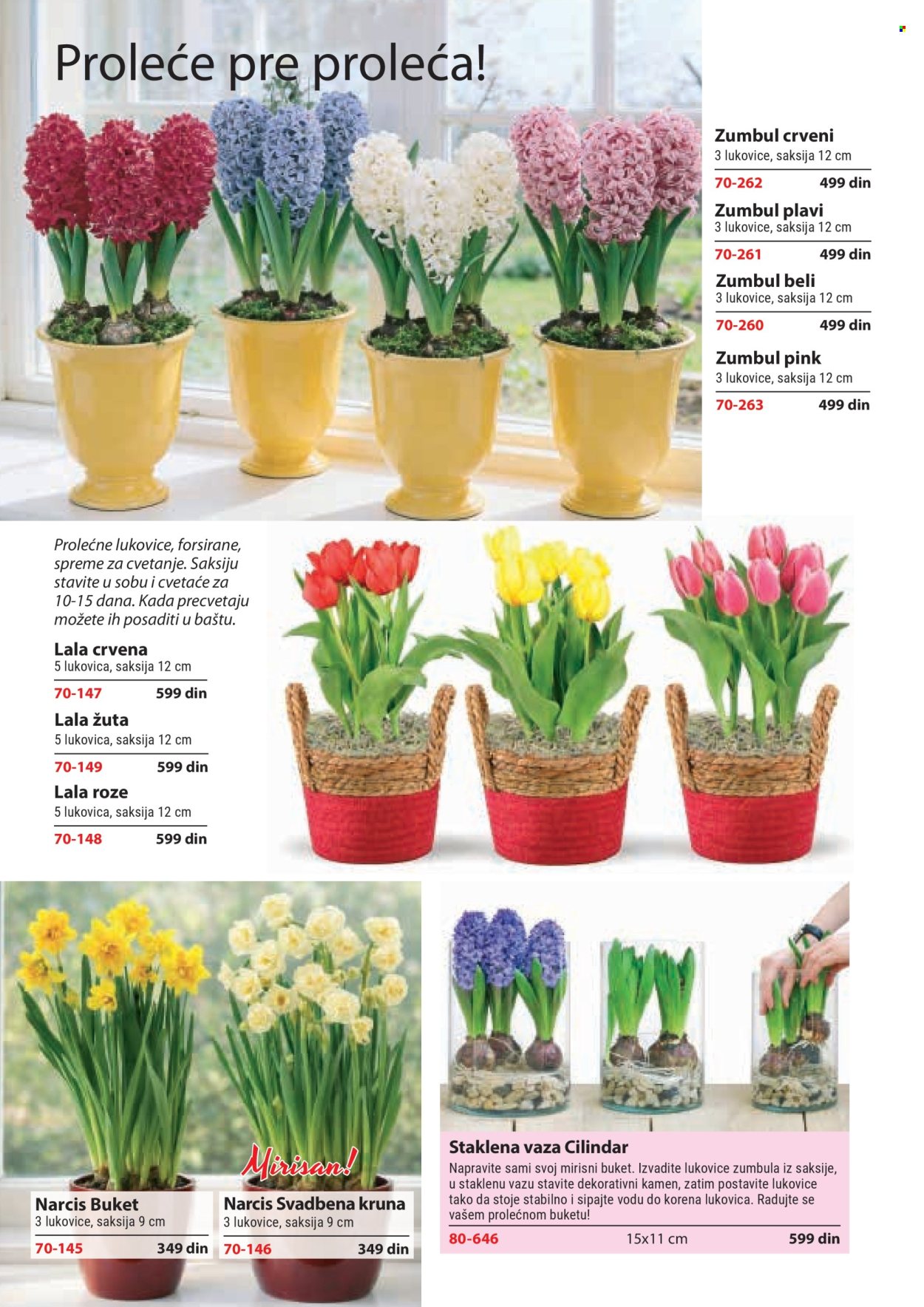 Flora Ekspres katalog. Stranica 124