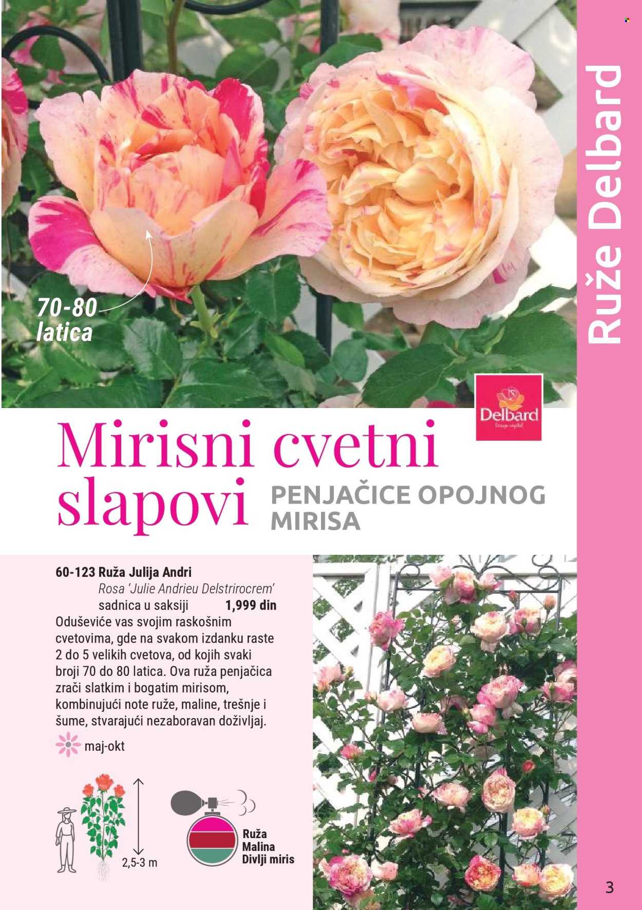 Flora Ekspres katalog. Stranica 3
