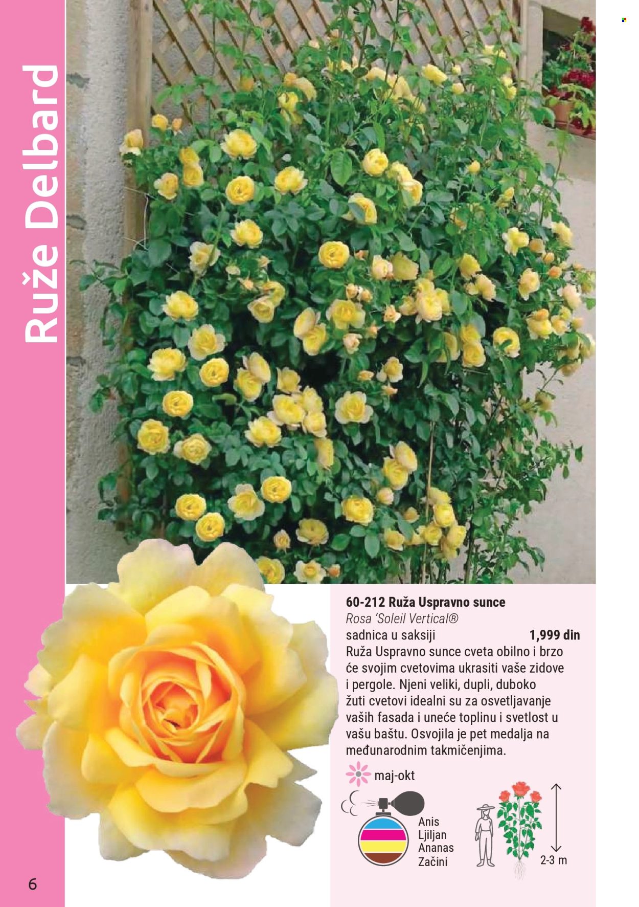 Flora Ekspres katalog. Stranica 6