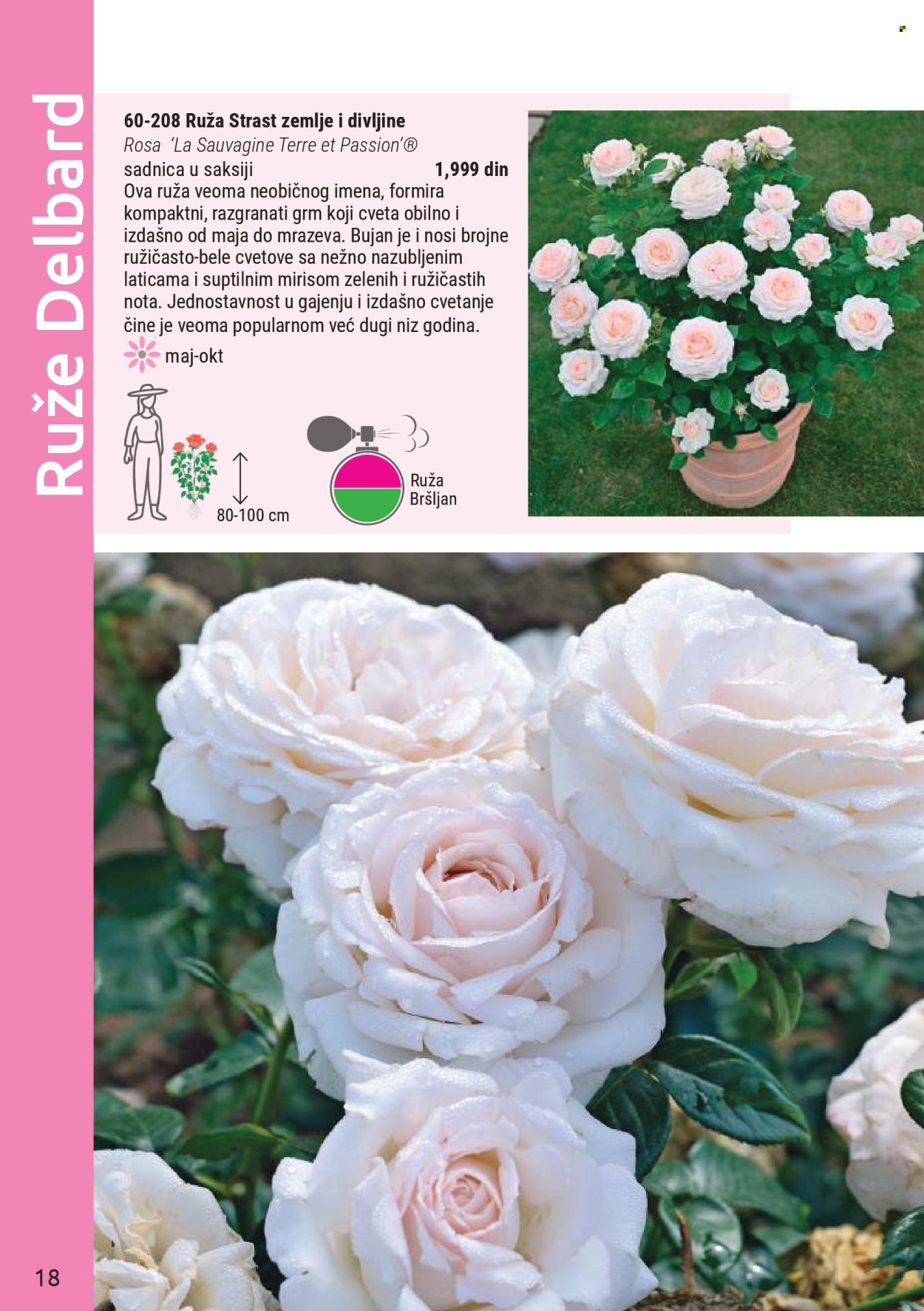 Flora Ekspres katalog. Stranica 18