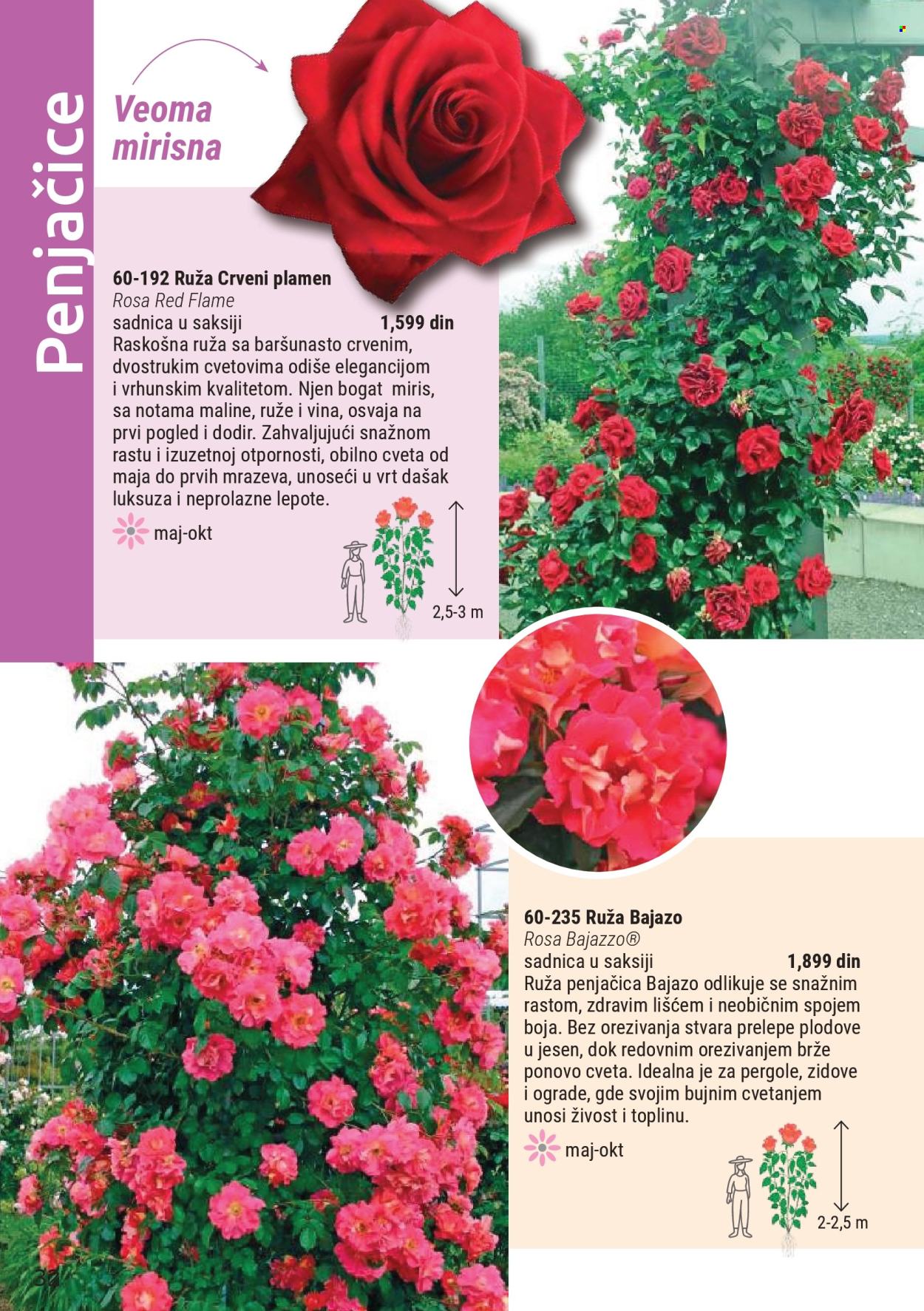 Flora Ekspres katalog. Stranica 32