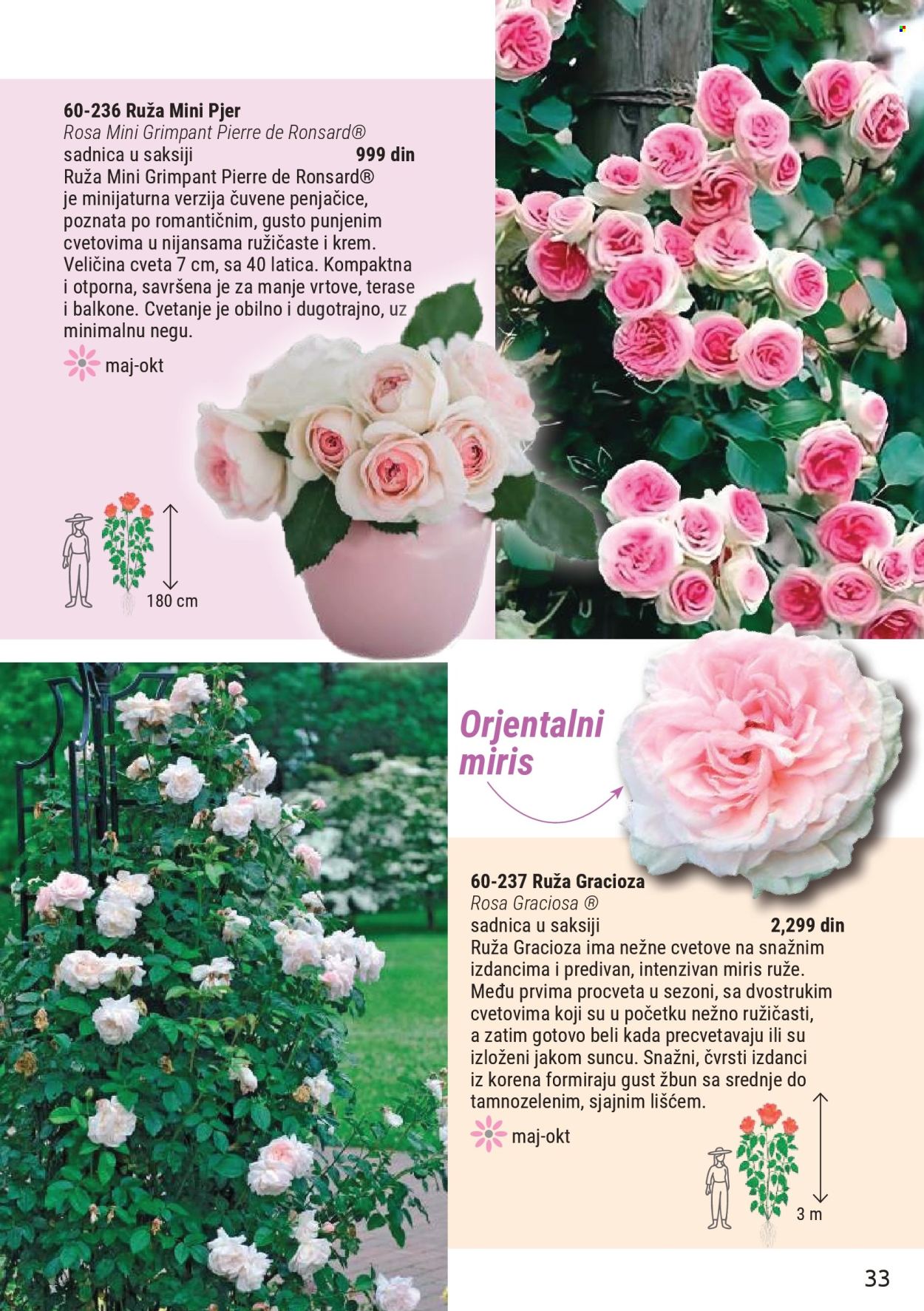 Flora Ekspres katalog. Stranica 33