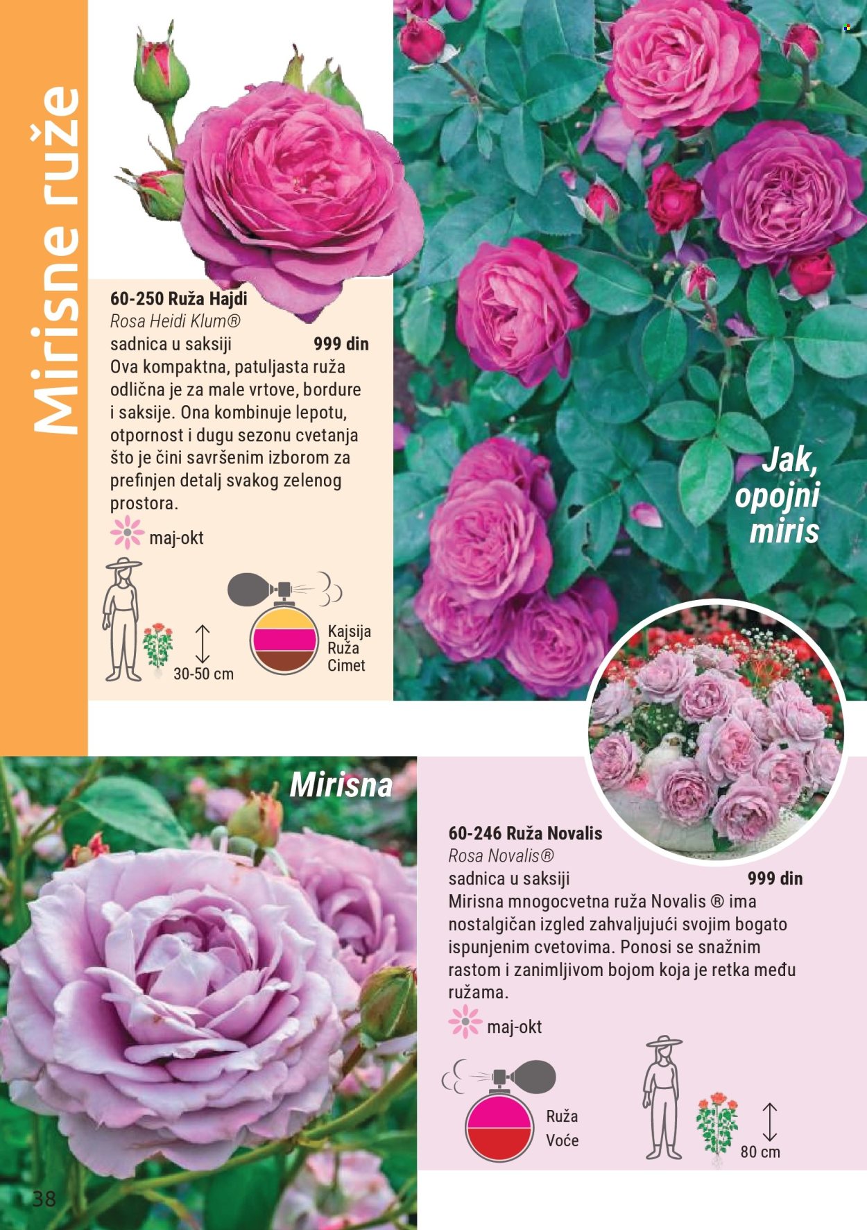 Flora Ekspres katalog. Stranica 38