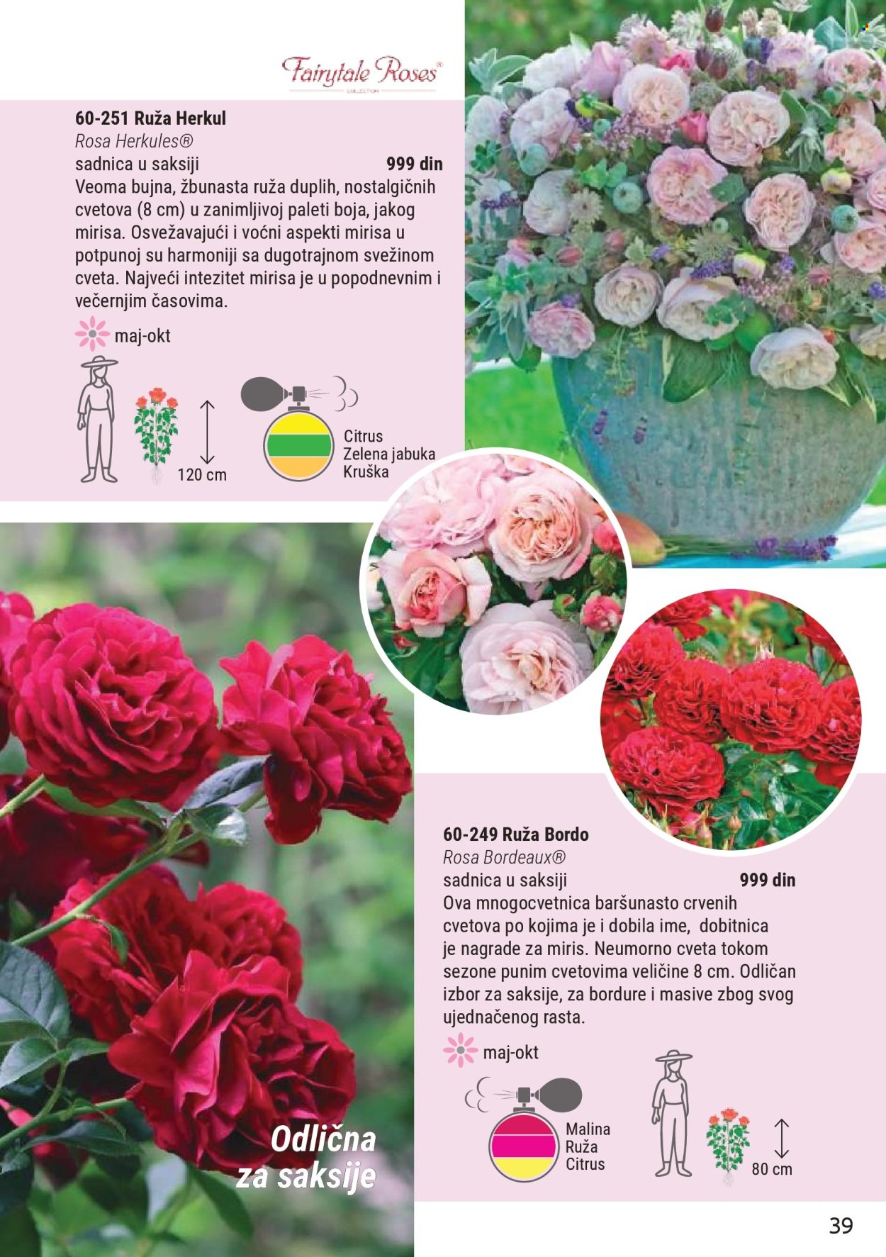 Flora Ekspres katalog. Stranica 39