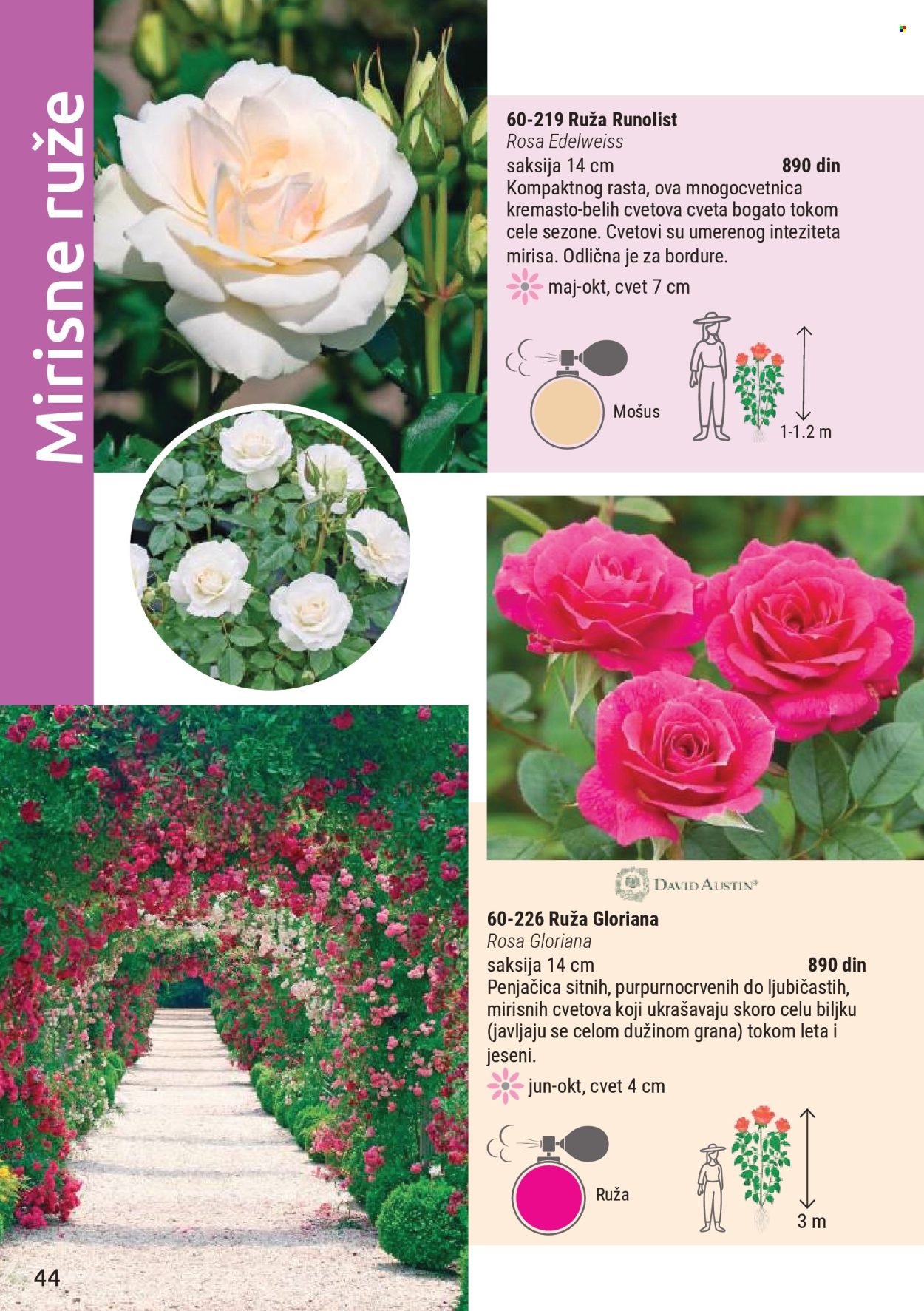 Flora Ekspres katalog. Stranica 44