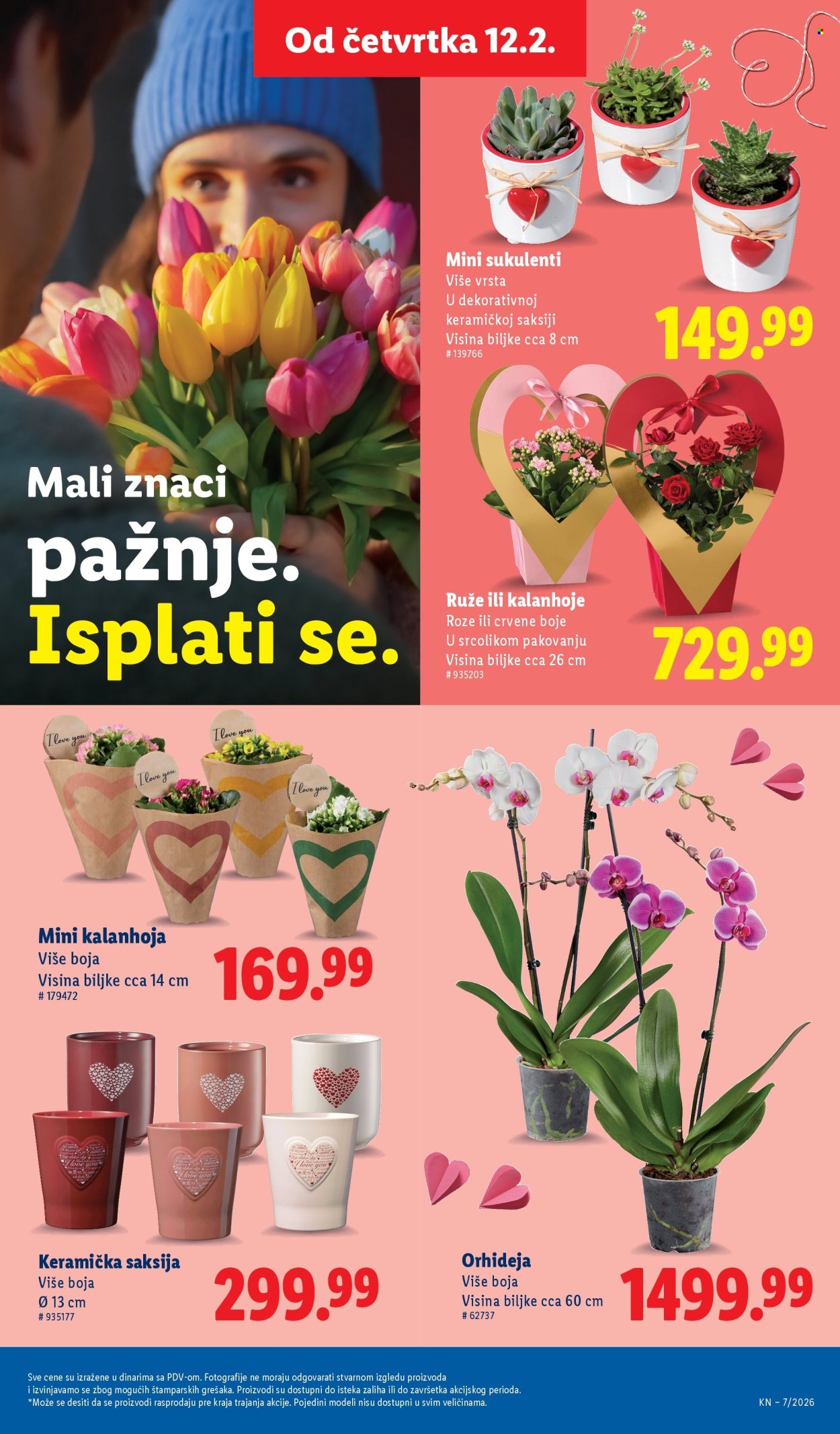 Lidl katalog - 12.02.2026 - 18.02.2026. Stranica 17