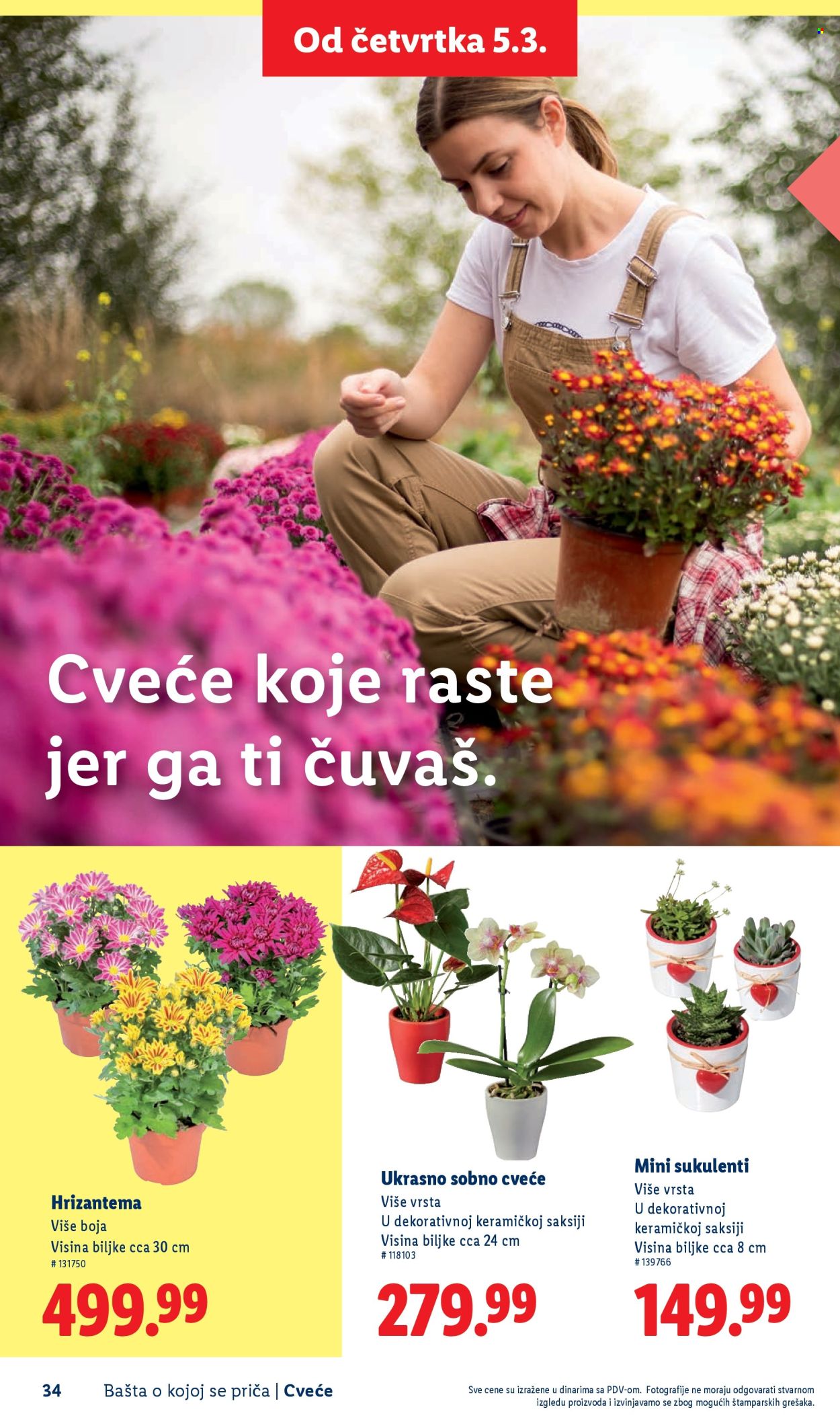 Lidl katalog. Stranica 34