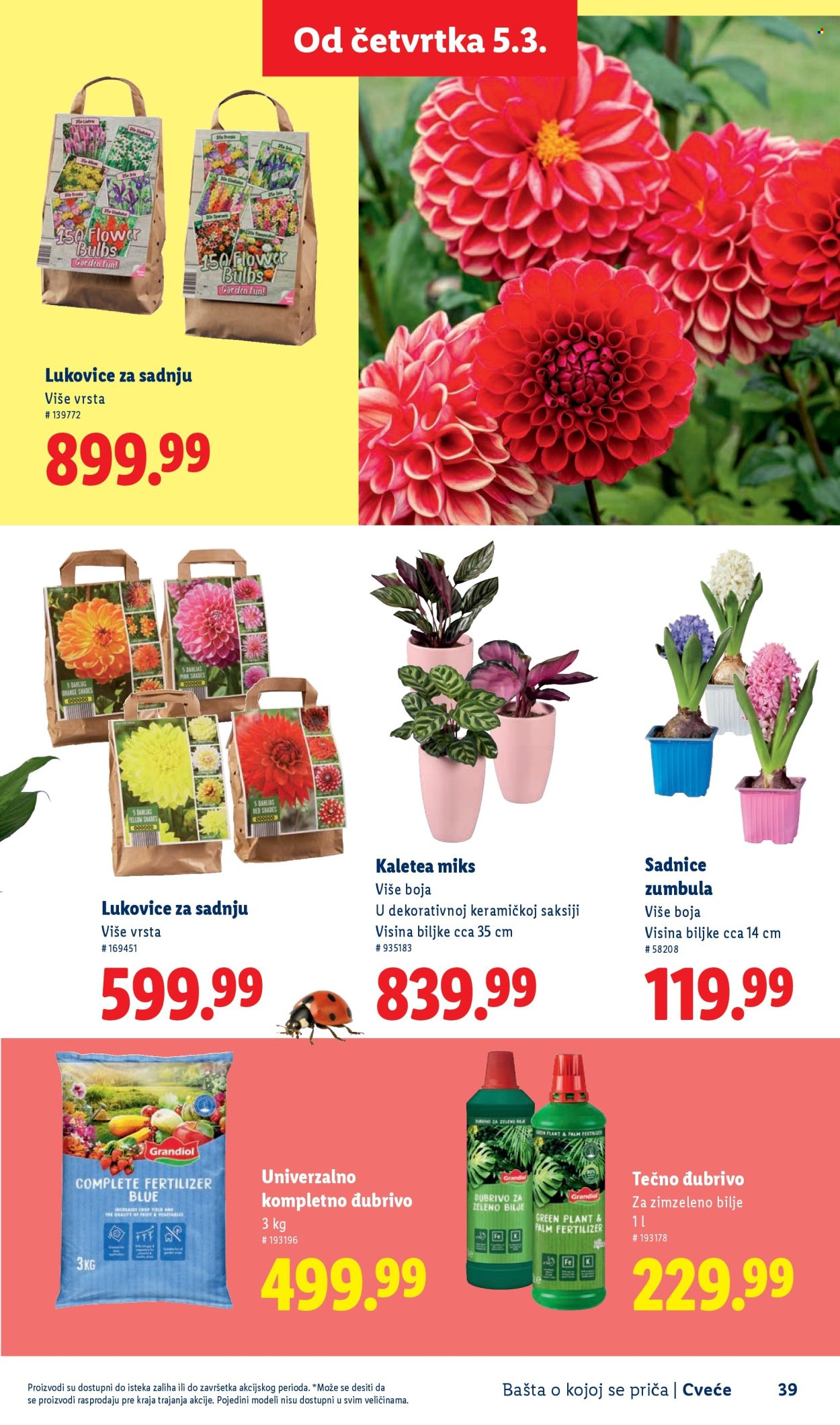 Lidl katalog. Stranica 39