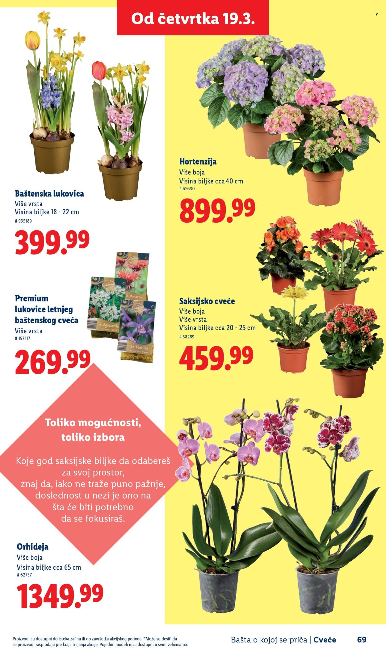 Lidl katalog. Stranica 69