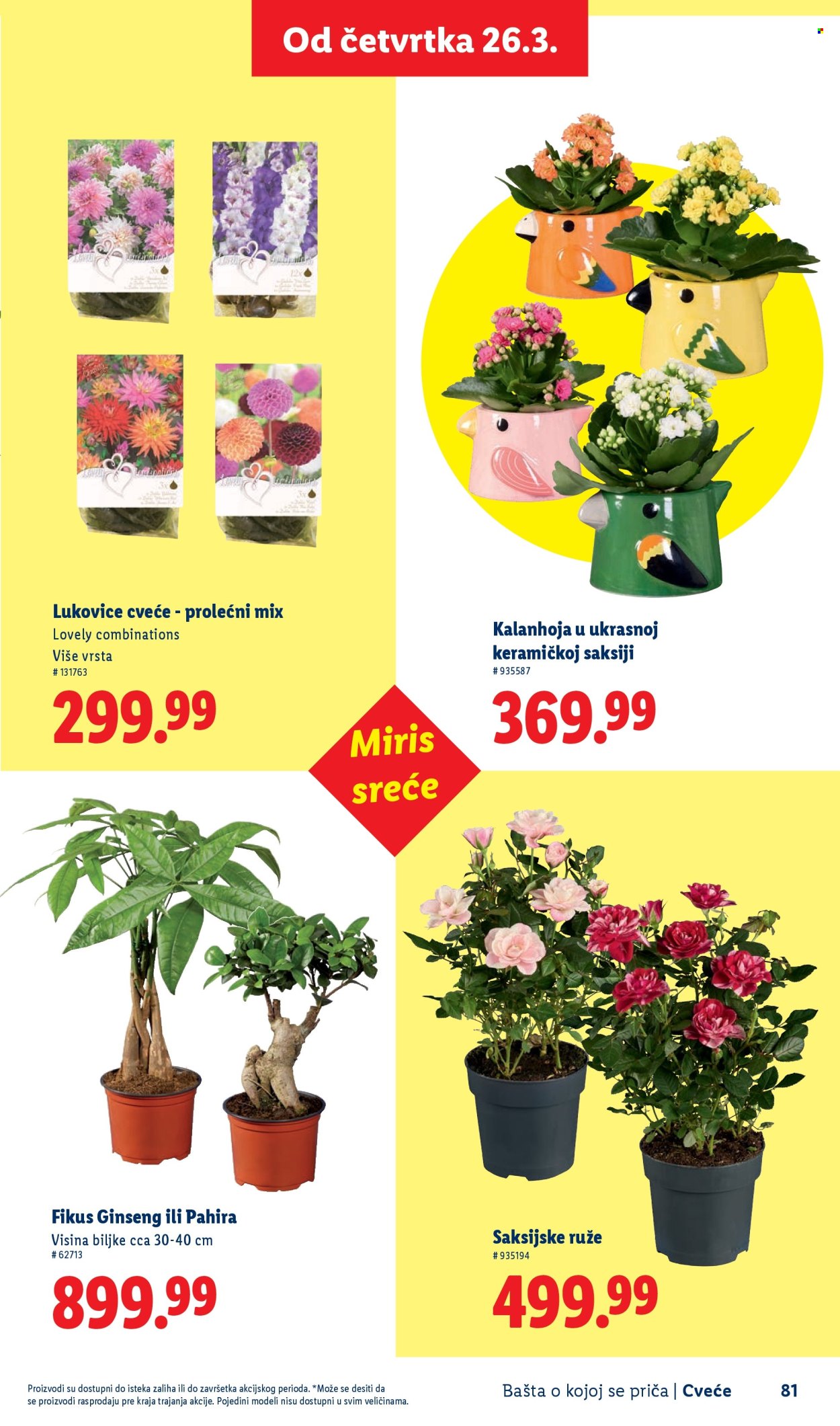 Lidl katalog. Stranica 81