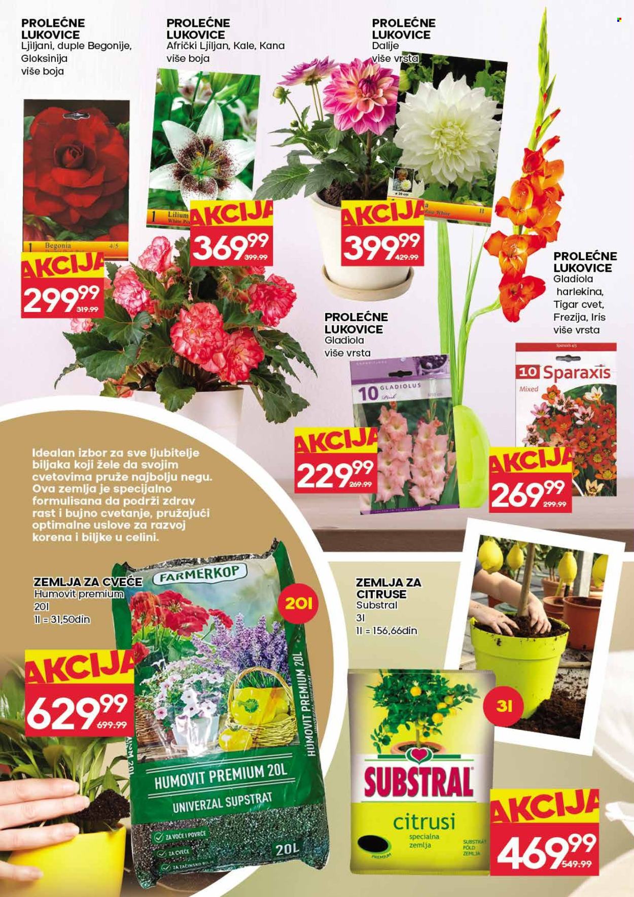 Mercator Centar katalog - 26.02.2026 - 04.03.2026. Stranica 30