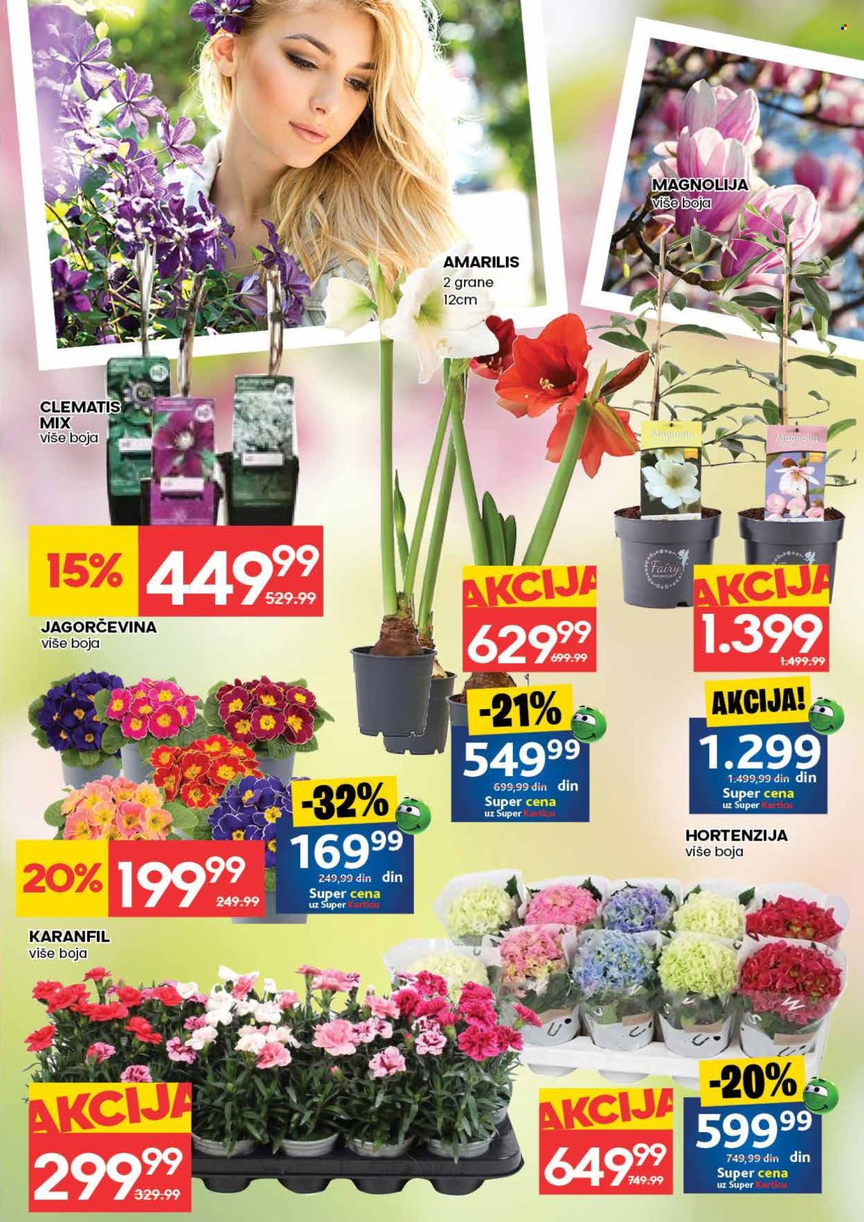 Mercator Centar katalog - 05.03.2026 - 11.03.2026. Stranica 31