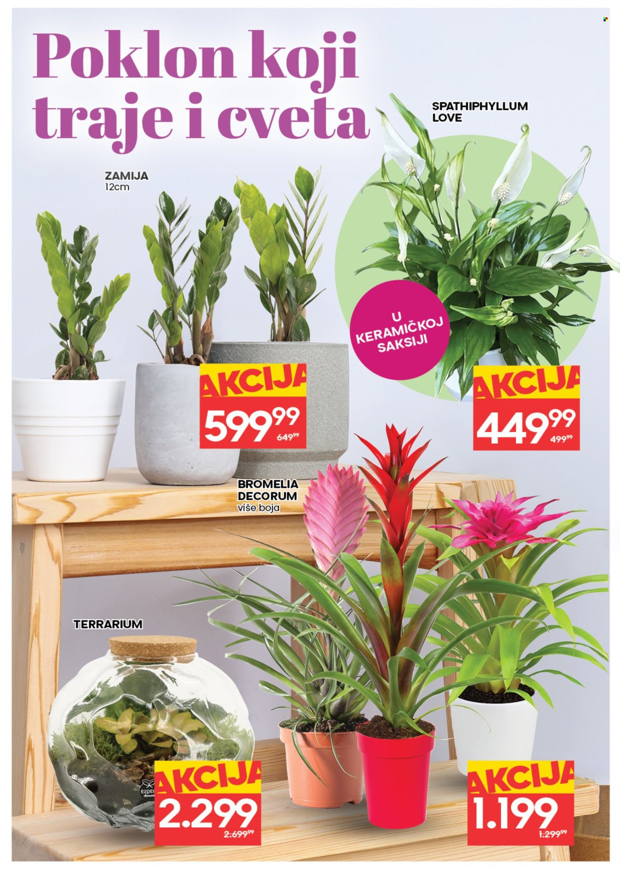 Roda katalog - 05.03.2026 - 11.03.2026. Stranica 6
