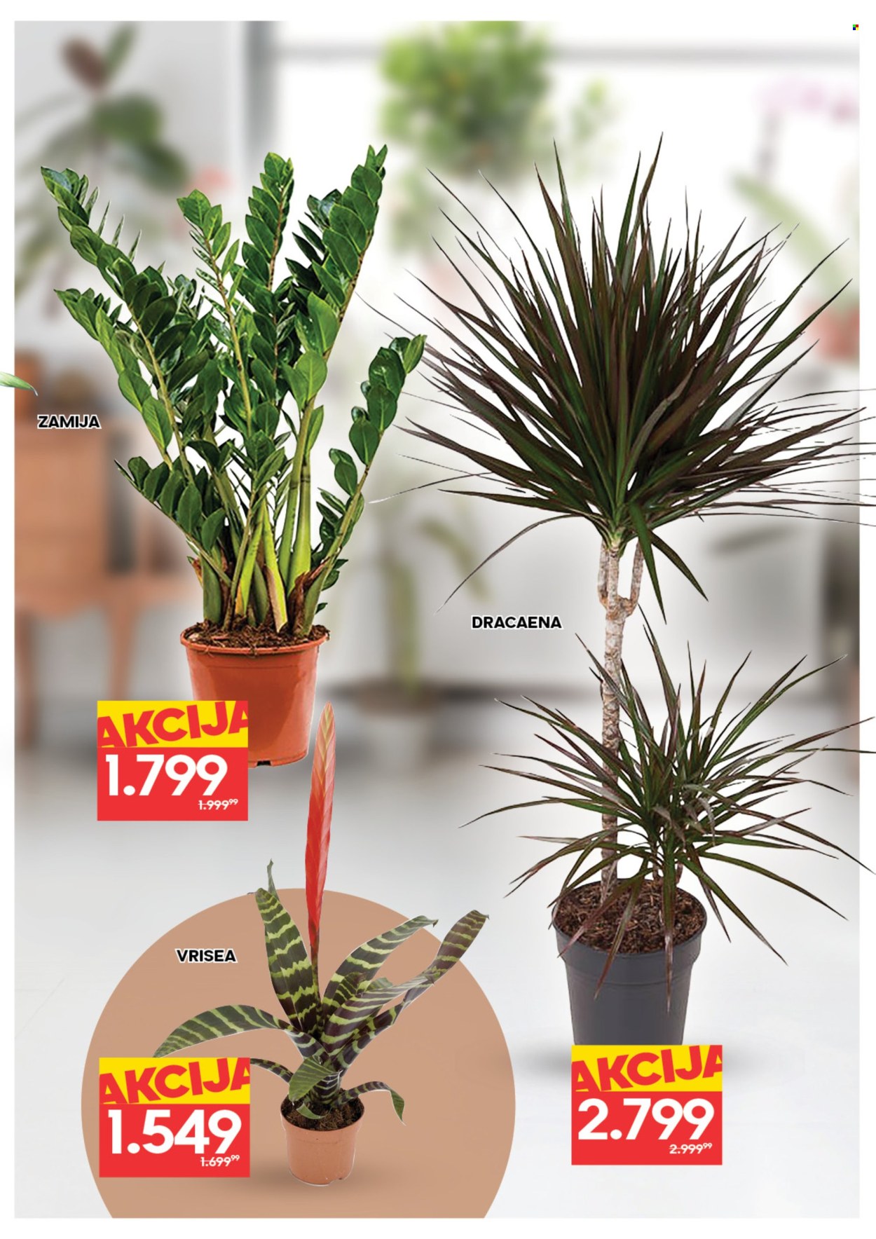 Roda katalog - 05.03.2026 - 11.03.2026. Stranica 7