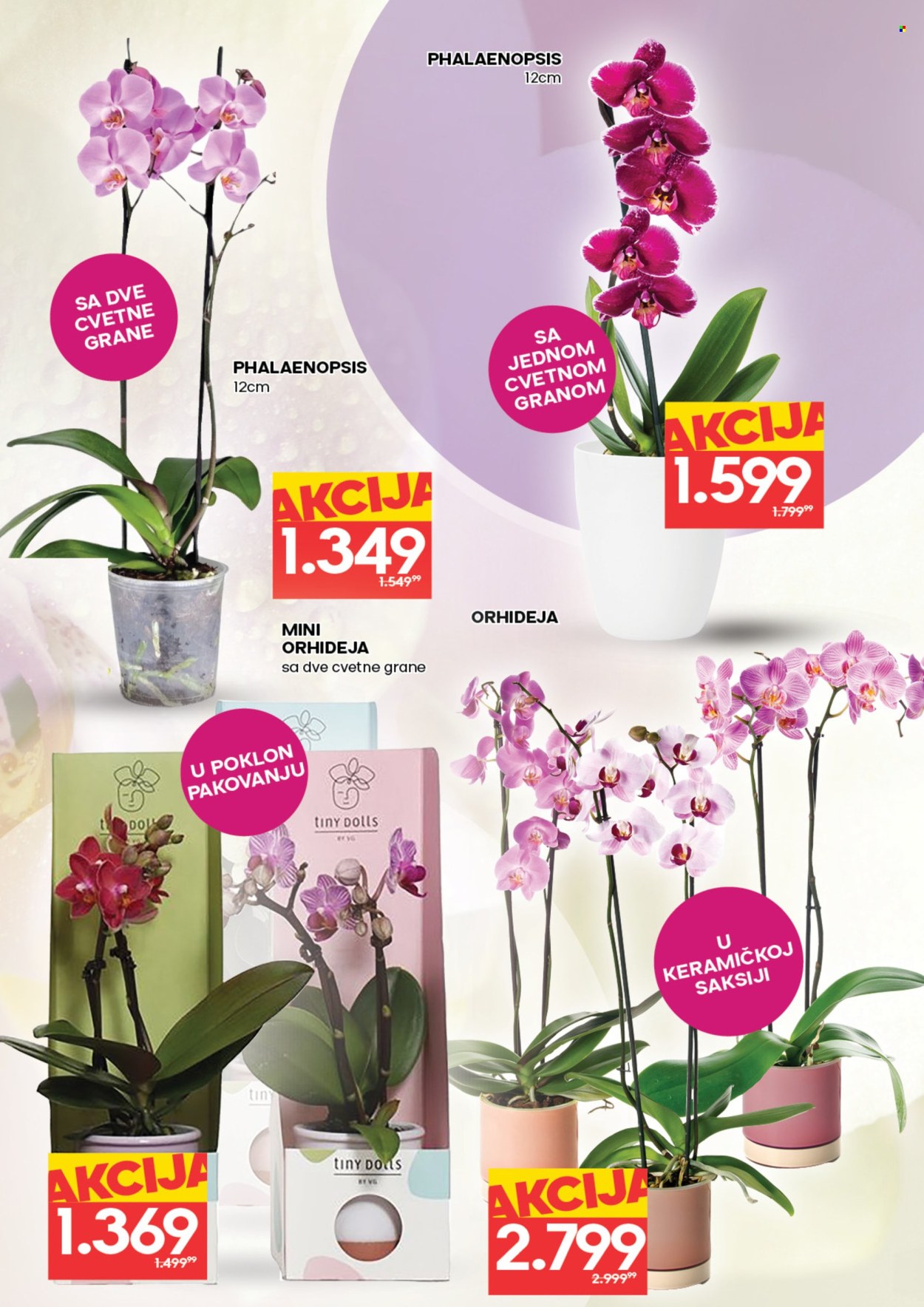 Idea katalog - 05.03.2026 - 11.03.2026. Stranica 2