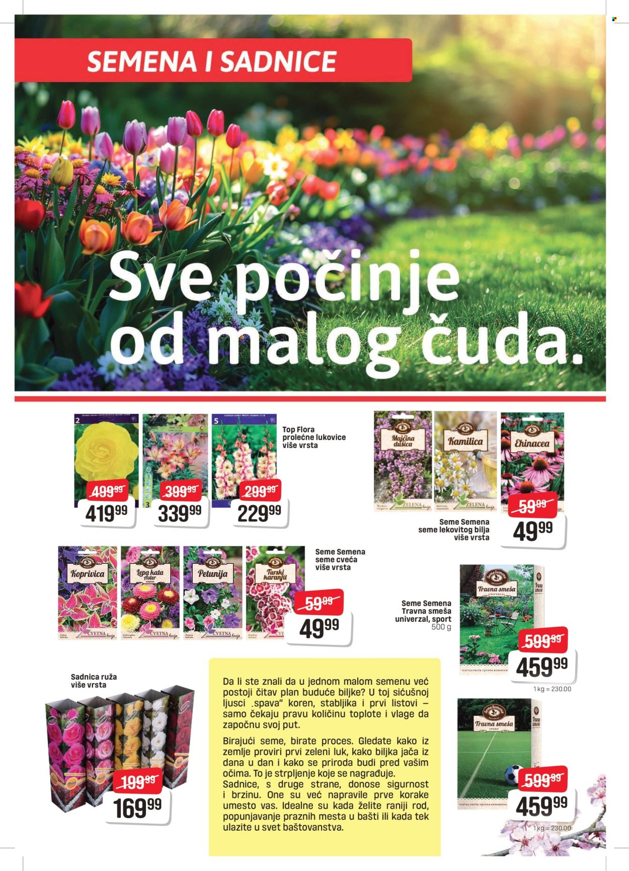 DIS katalog - 06.03.2026 - 04.04.2026. Stranica 2