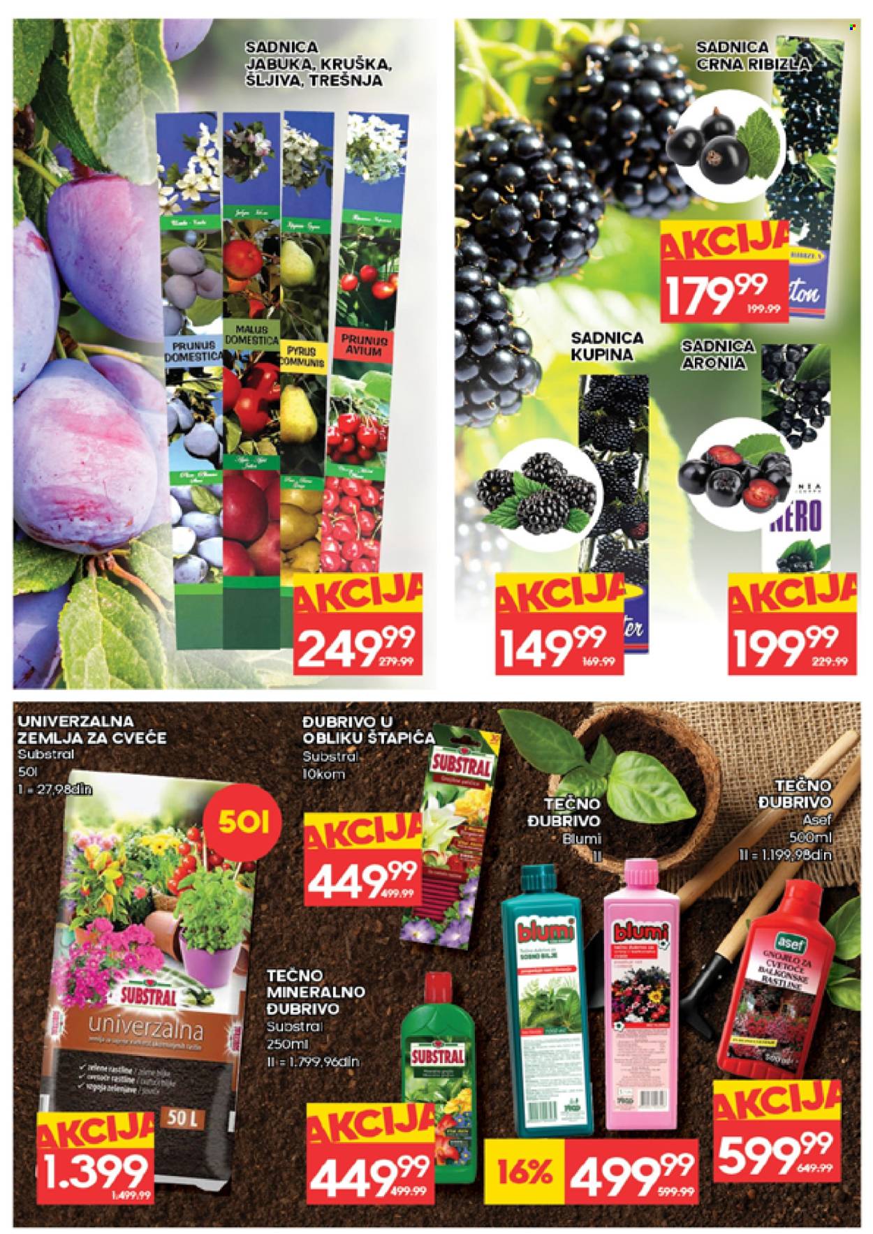 Roda katalog - 12.03.2026 - 18.03.2026. Stranica 30